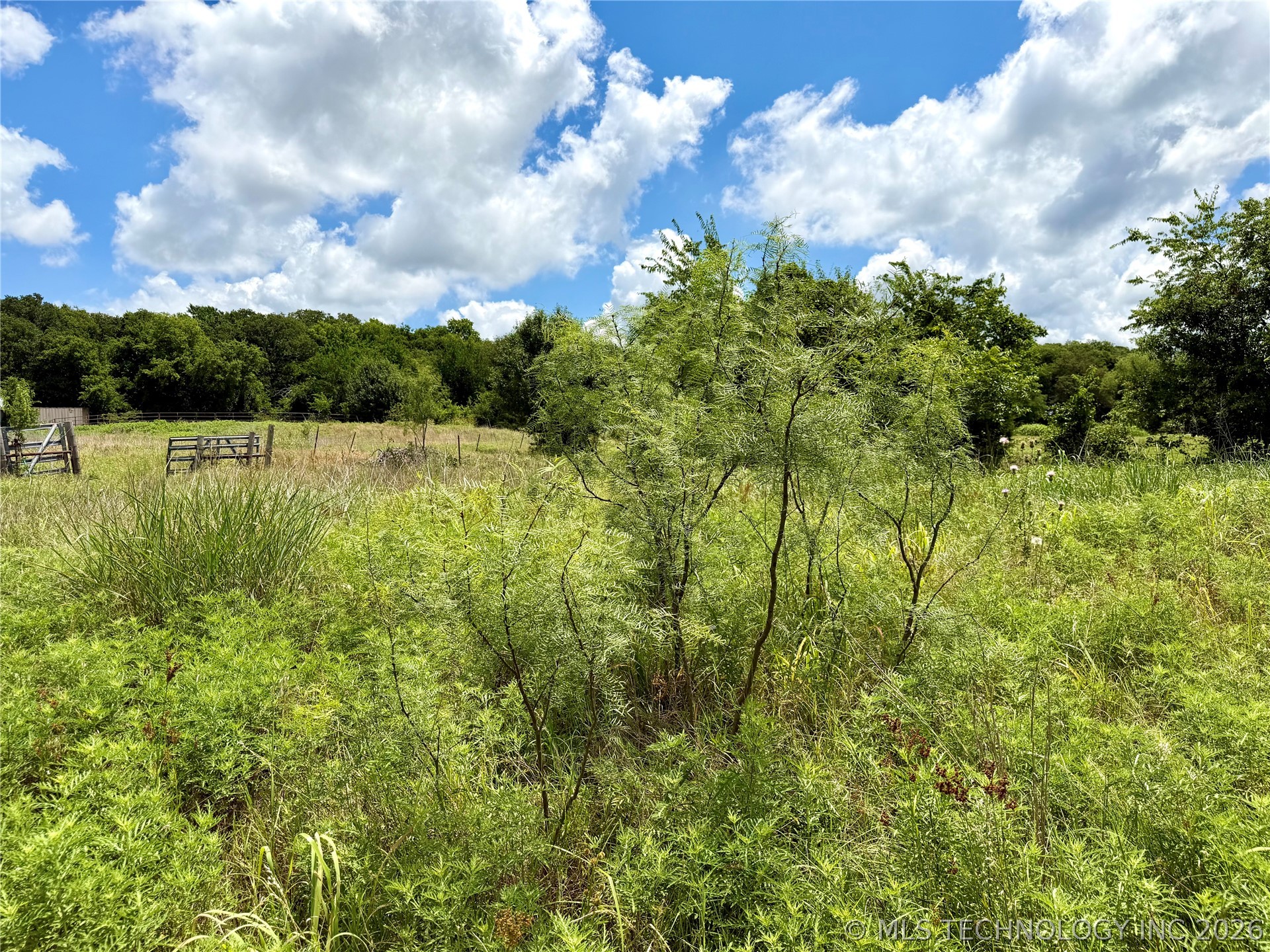 2622243 Property Photo 23