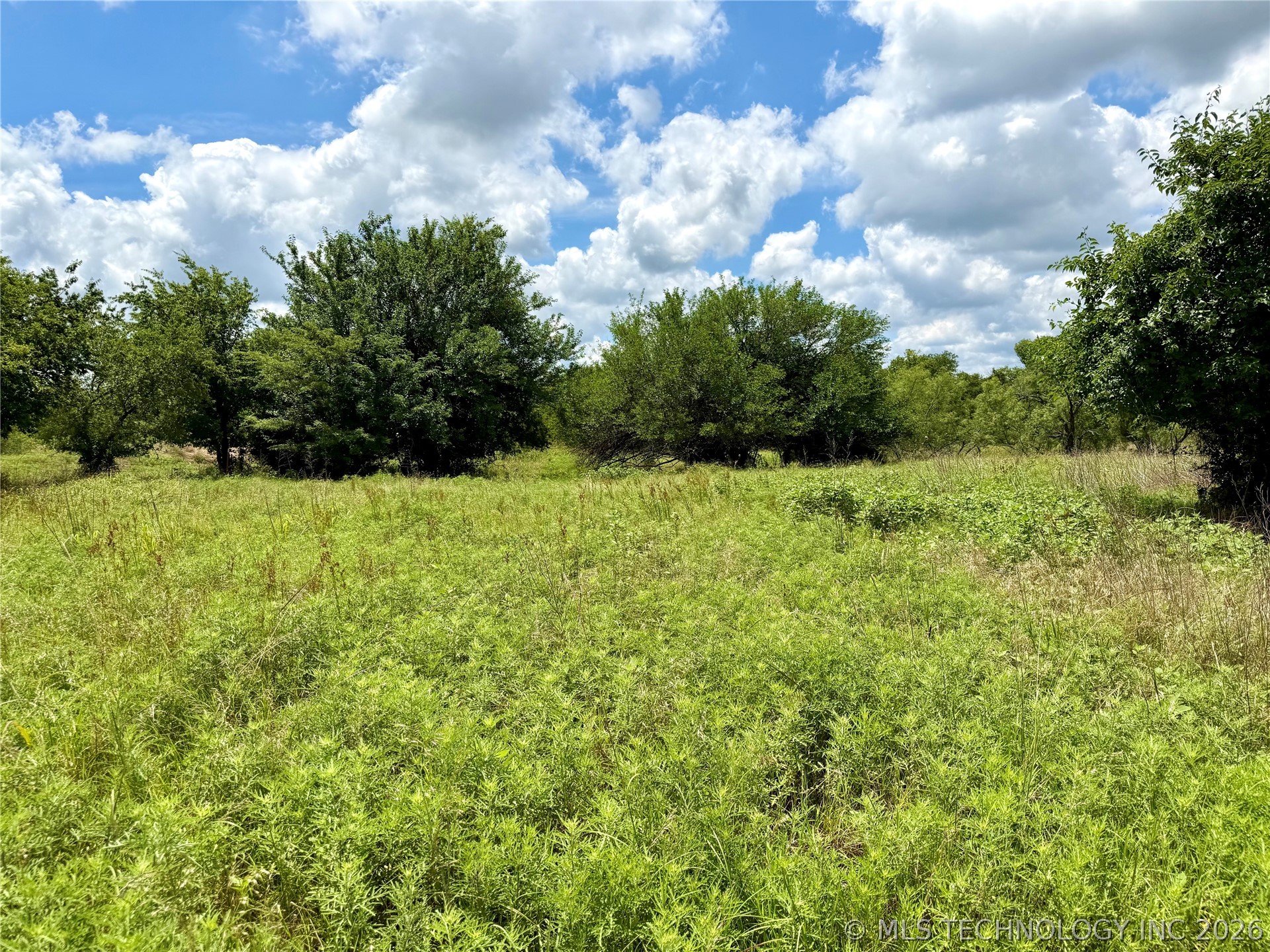 2622243 Property Photo 24