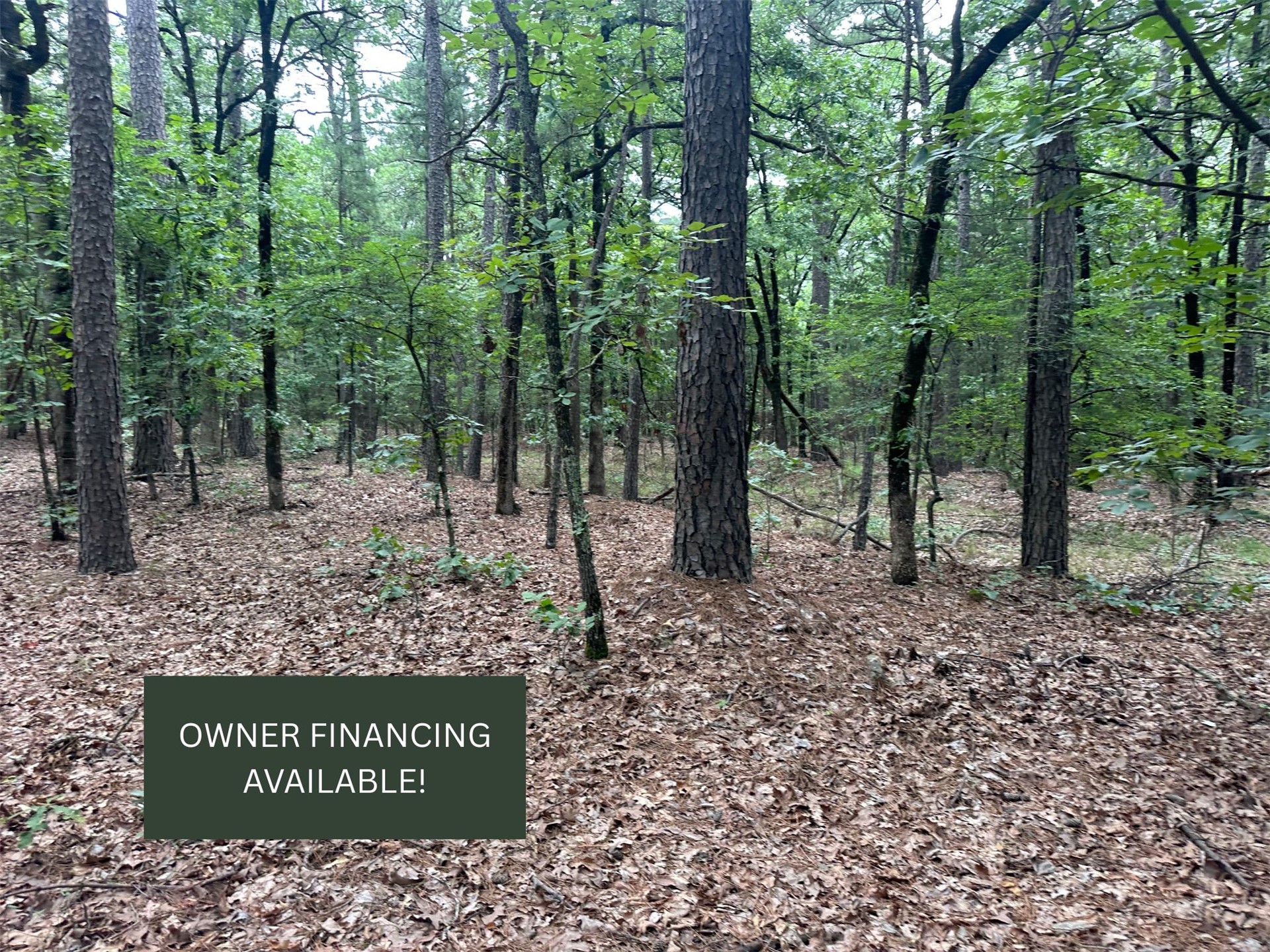 001 Johns Valley Road Property Photo 1