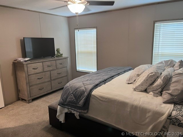 9520 Hwy 70 A Property Photo 18