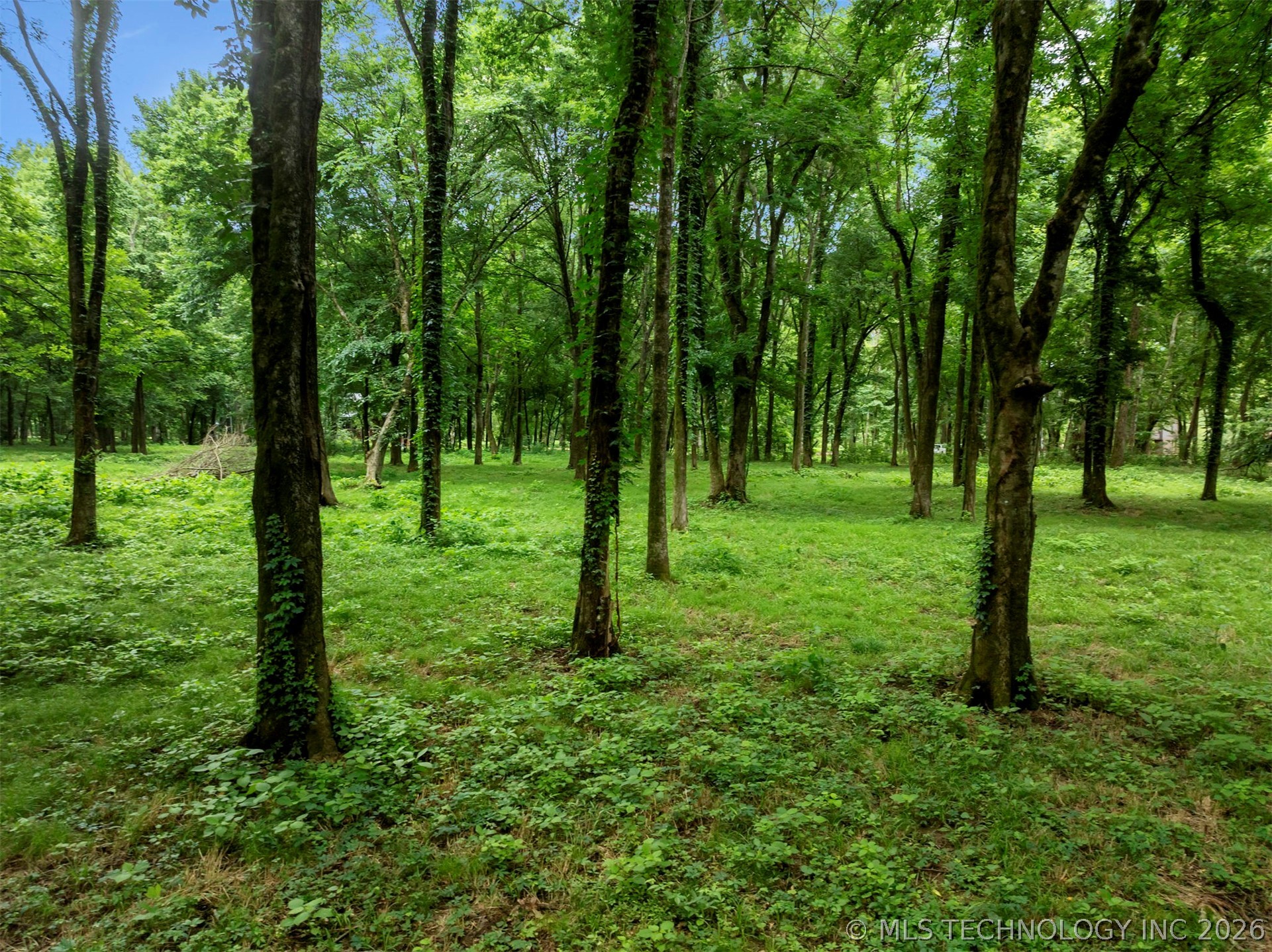56 River Landing Trail Property Photo 3