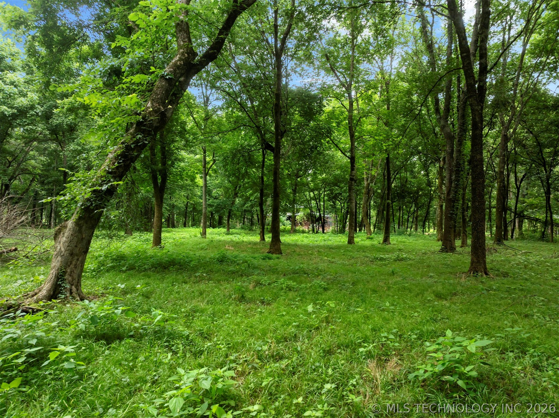 56 River Landing Trail Property Photo 4