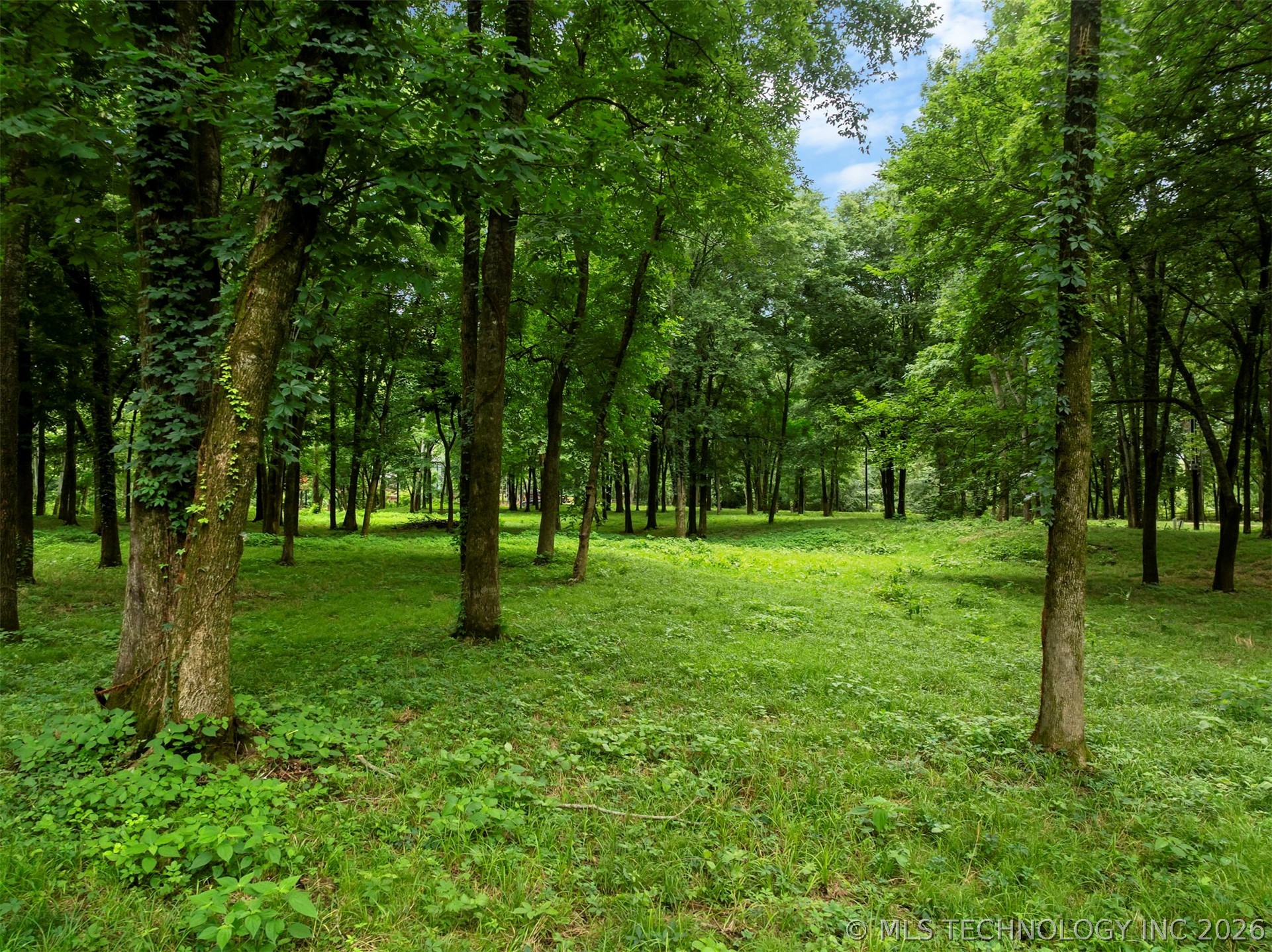 56 River Landing Trail Property Photo 5