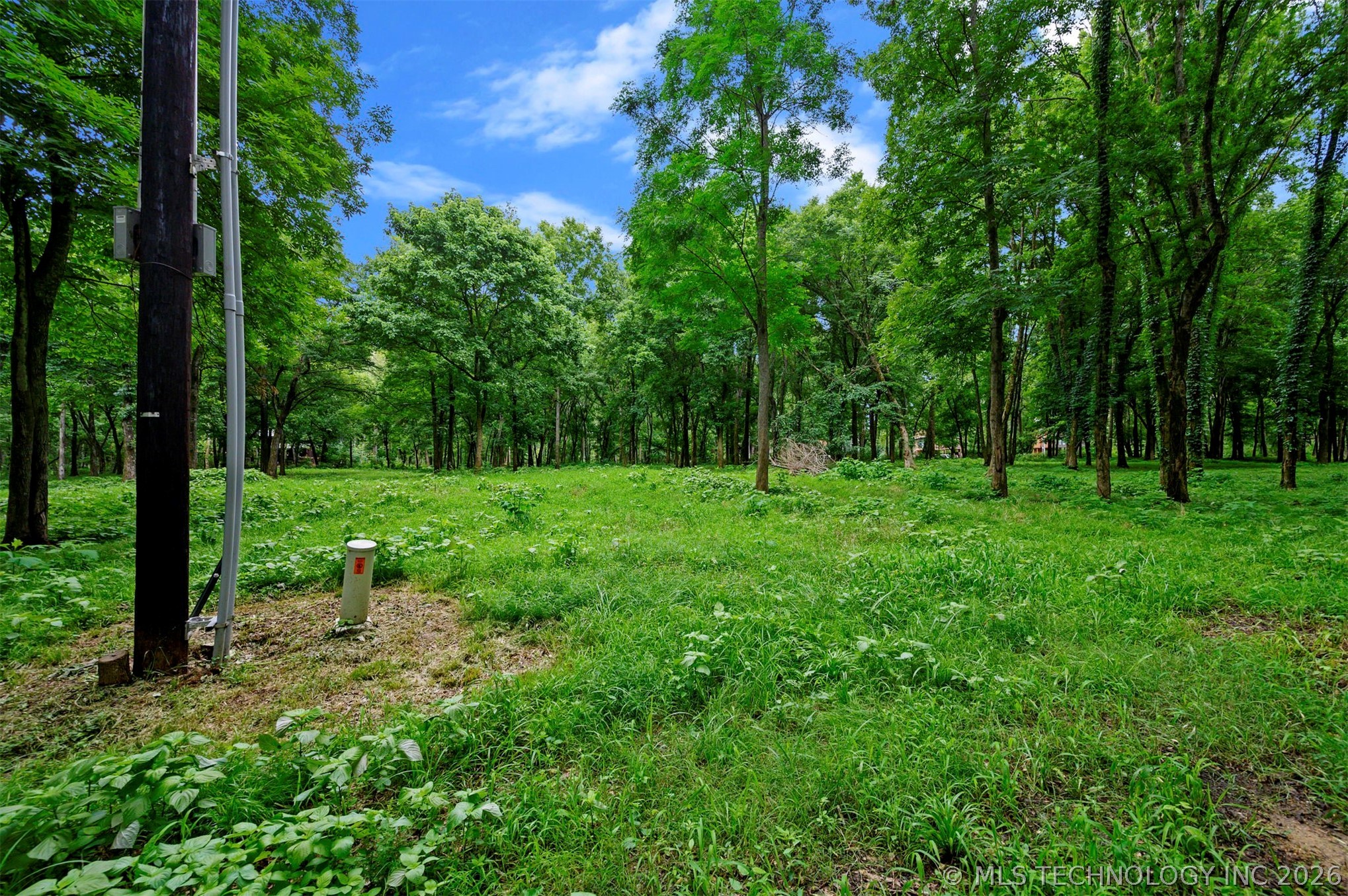 56 River Landing Trail Property Photo 9