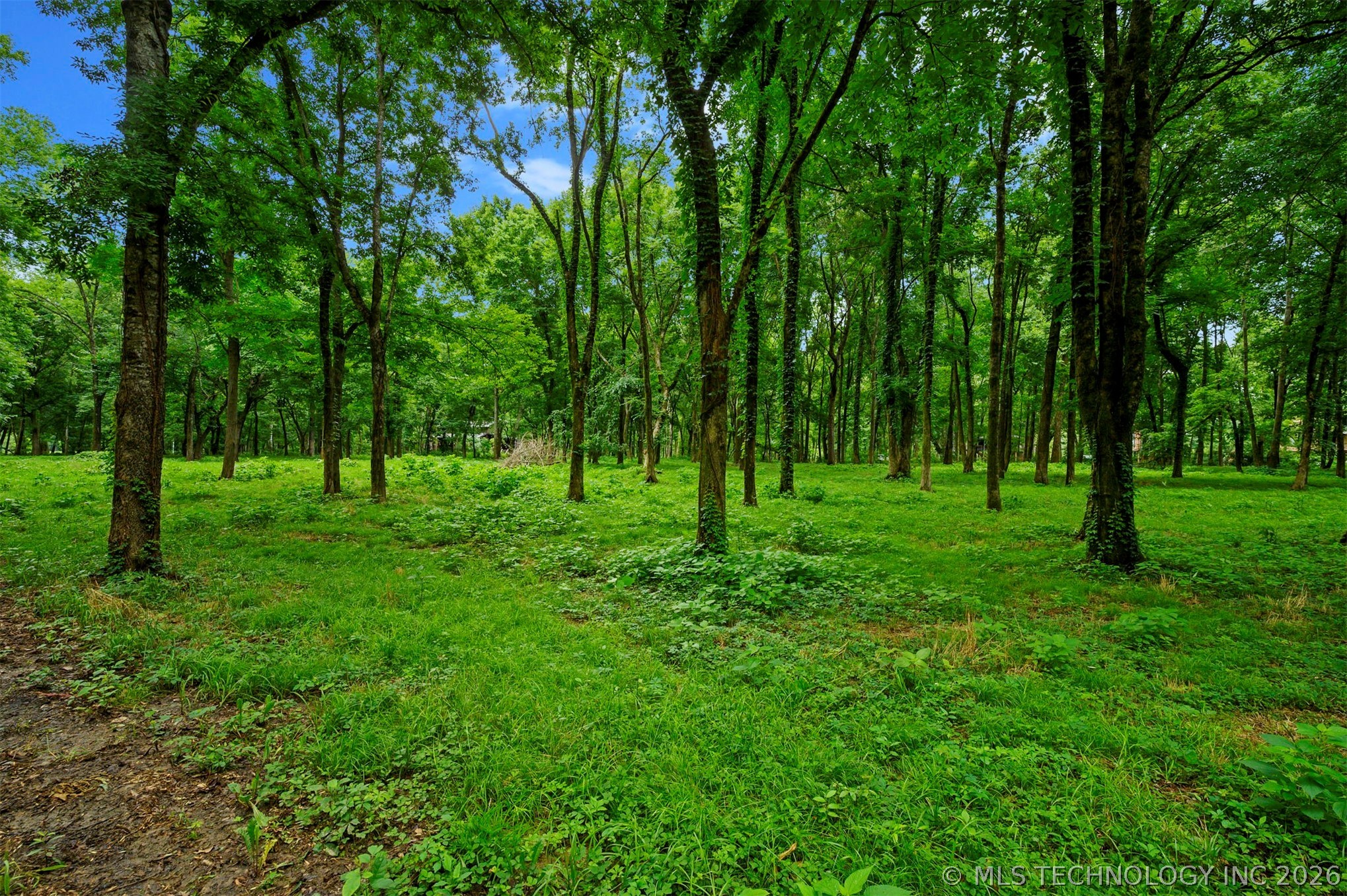 56 River Landing Trail Property Photo 10