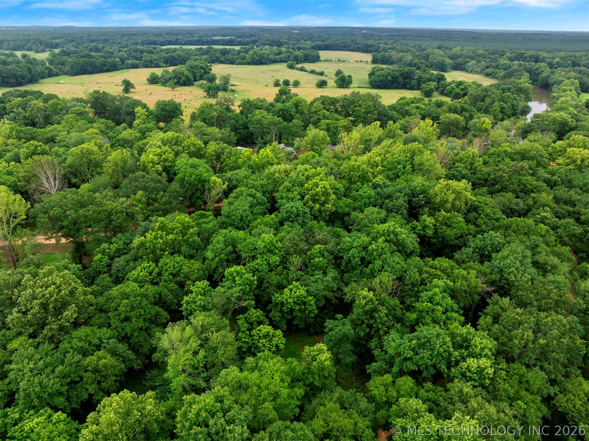 56 River Landing Trail Property Photo 12