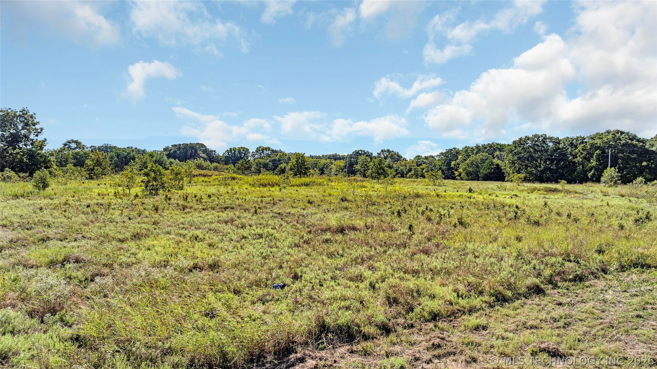 Renick Property Photo 2