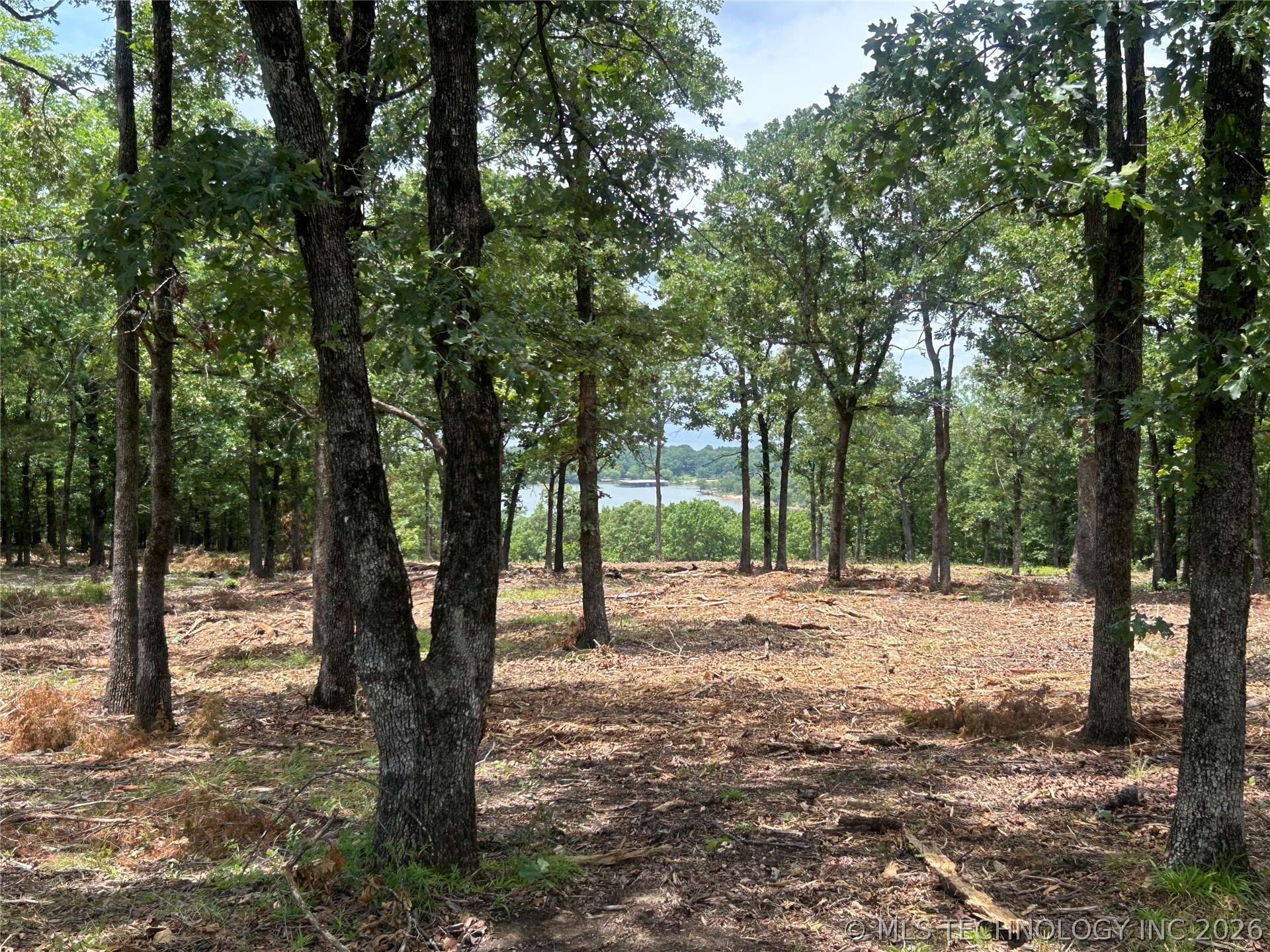 50 Patriot Pointe Property Photo 3