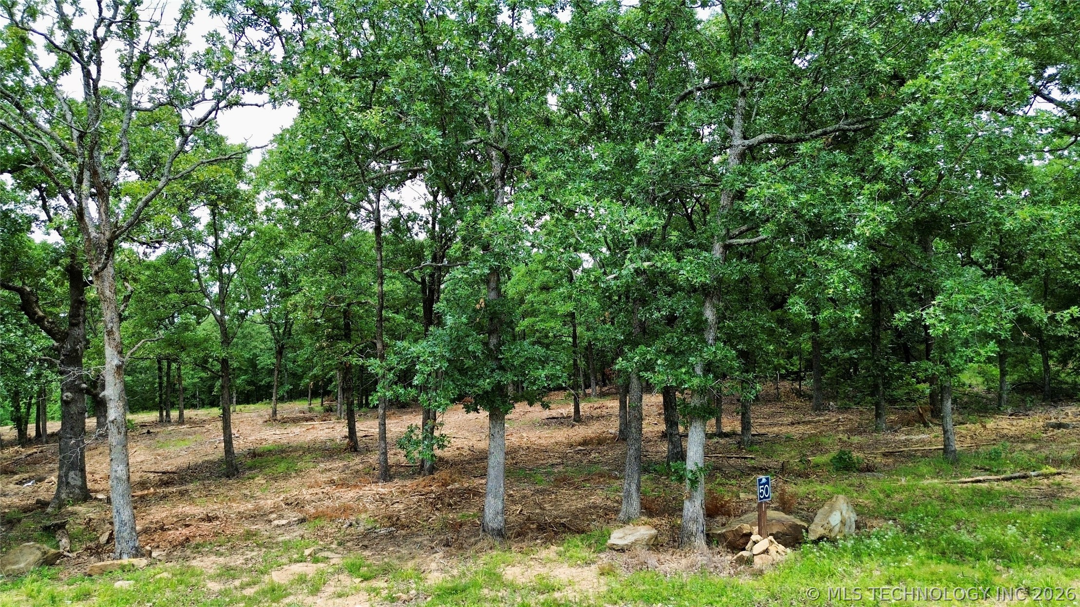 50 Patriot Pointe Property Photo 5