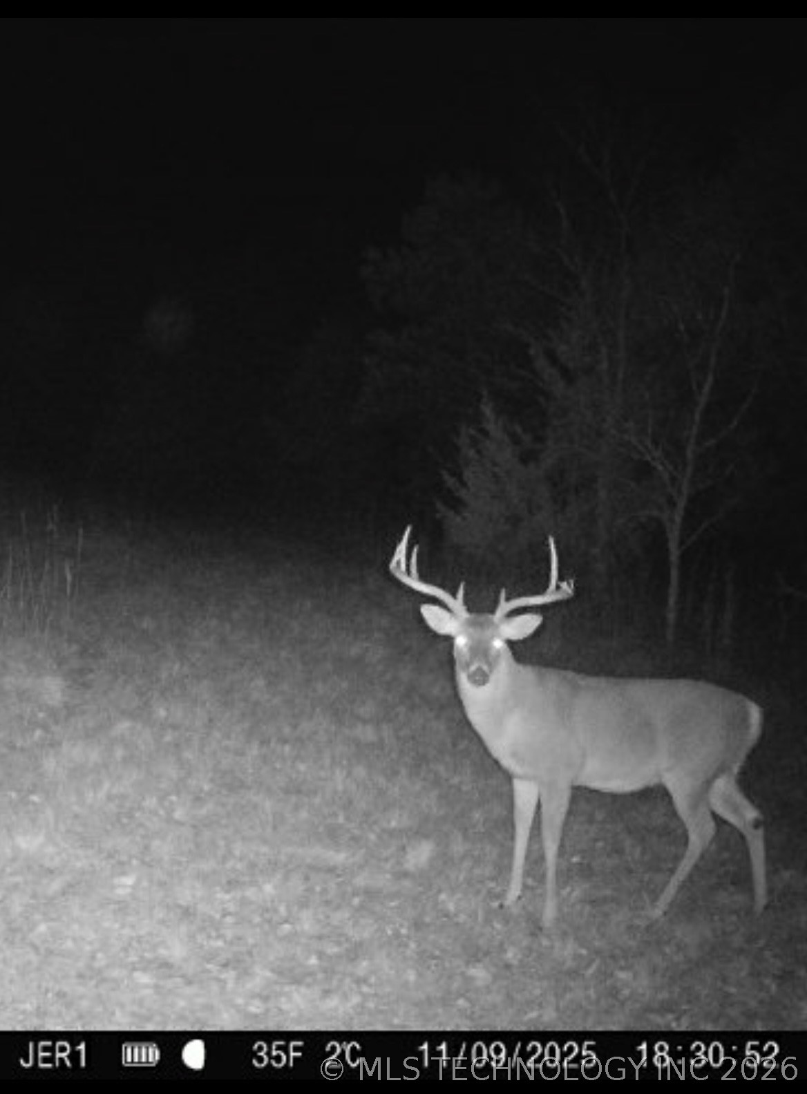 1294 Howell Property Photo 43