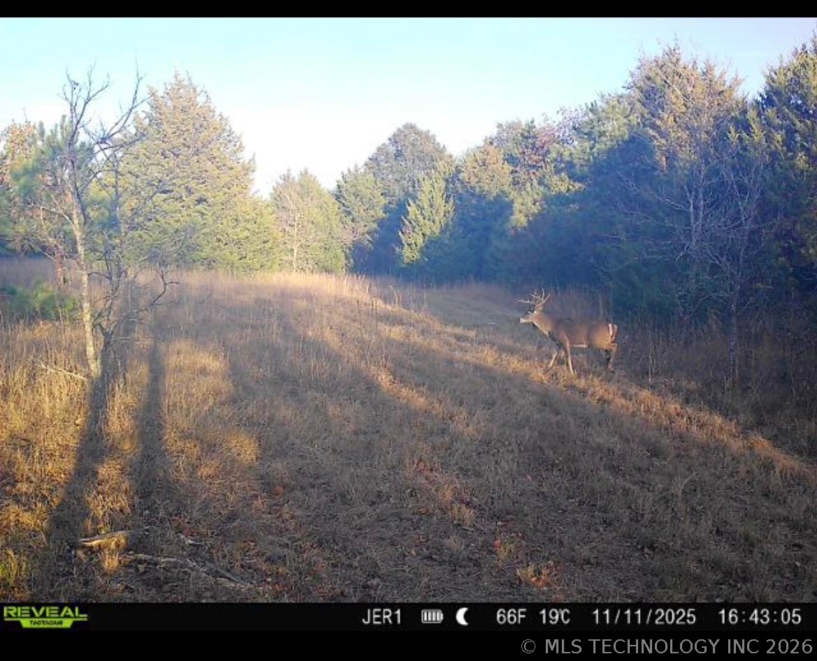 1294 Howell Property Photo 44
