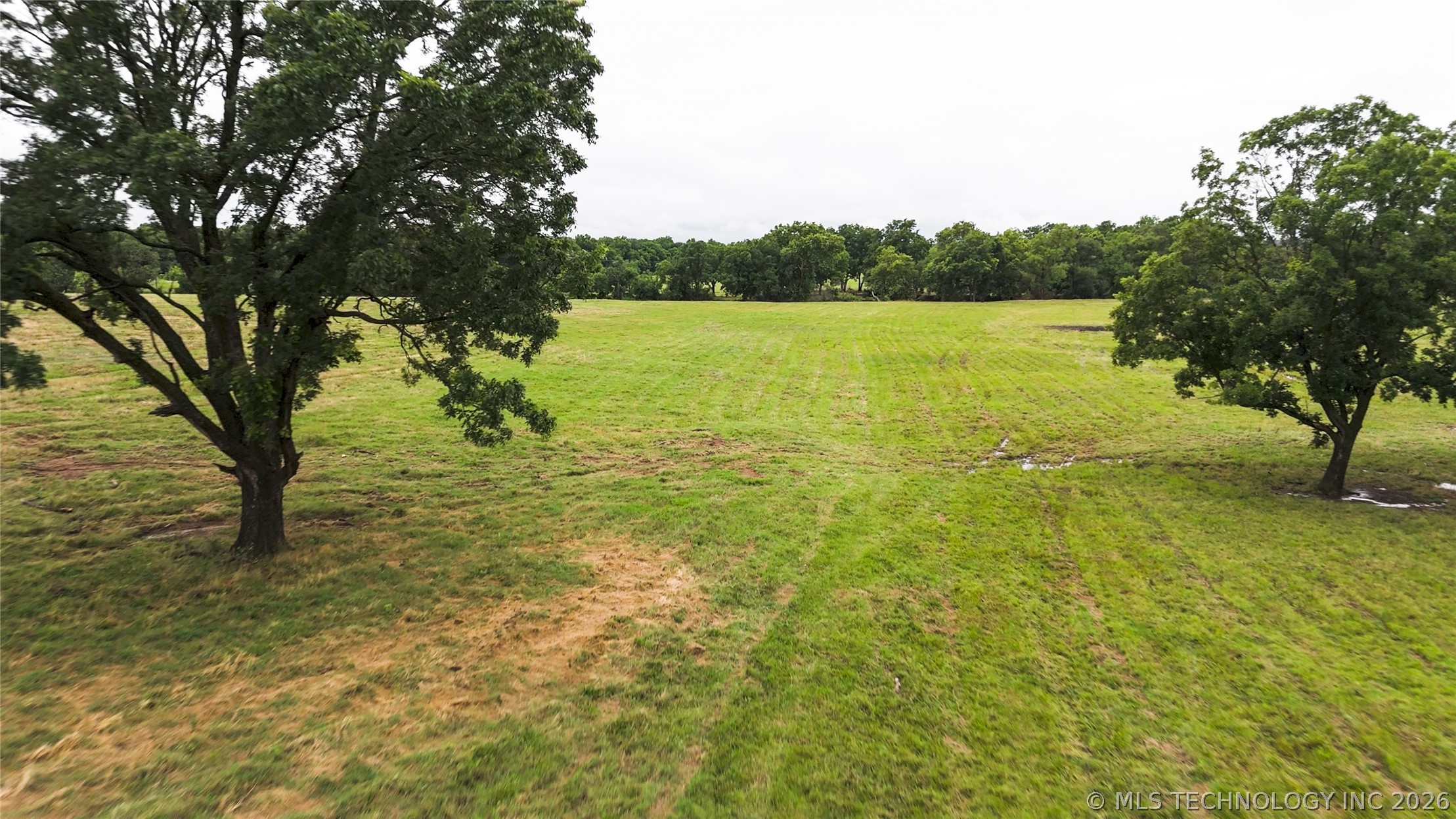Old Taft Road Property Photo 14