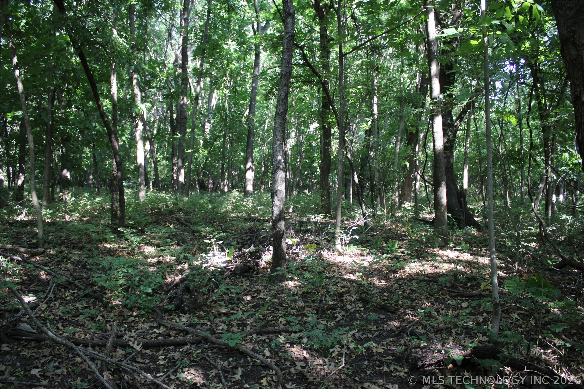 0000 Highway 28 Property Photo 1