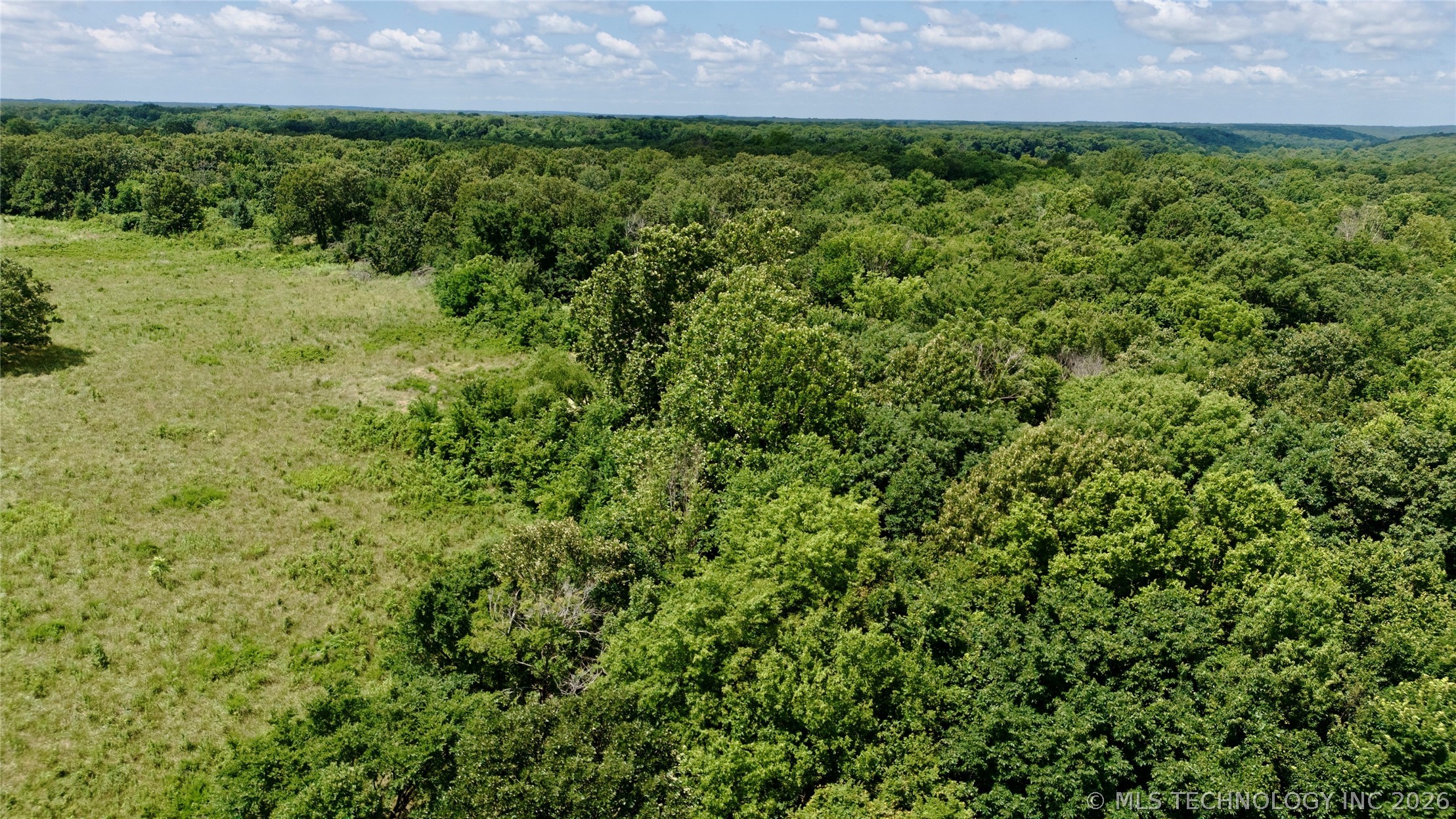 6170 Hwy 28 Property Photo 15