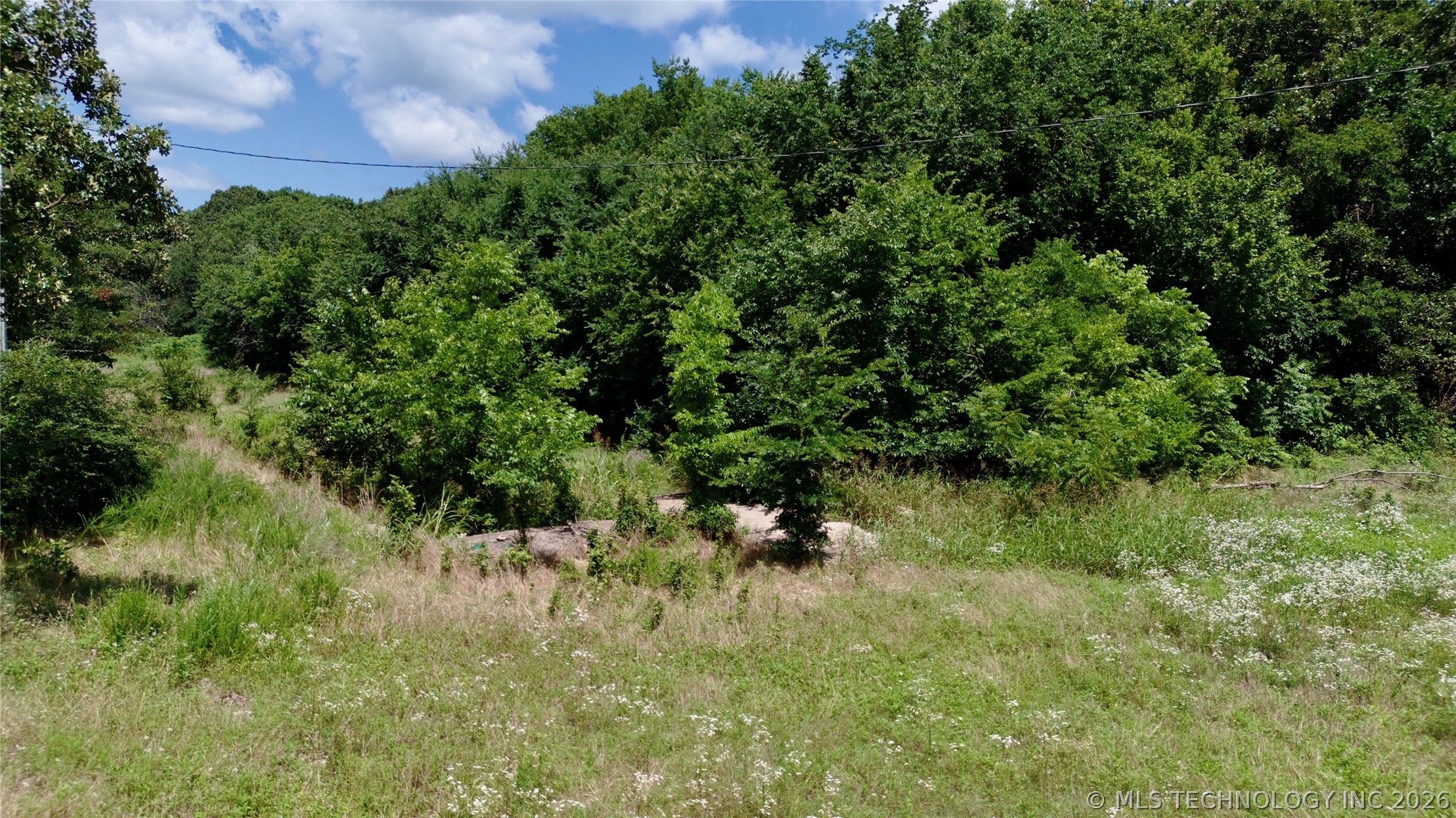 6170 Hwy 28 Property Photo 26