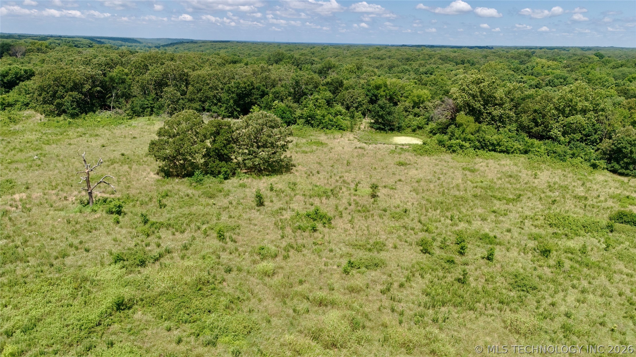 6170 Hwy 28 Property Photo 42