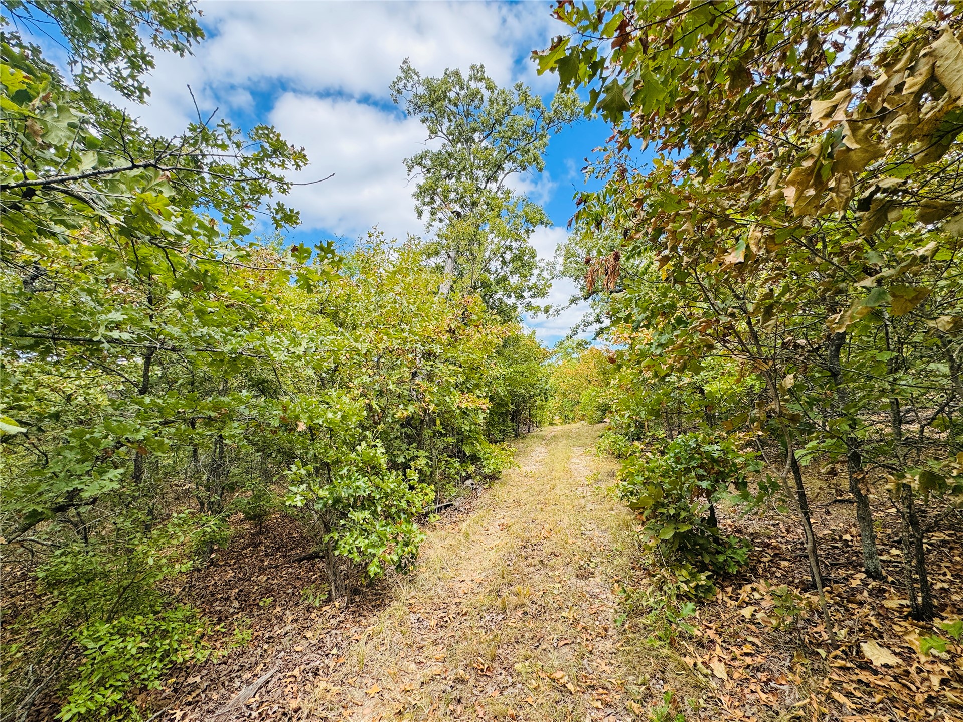 11825 Ns Ns 3650 Road Property Photo 1