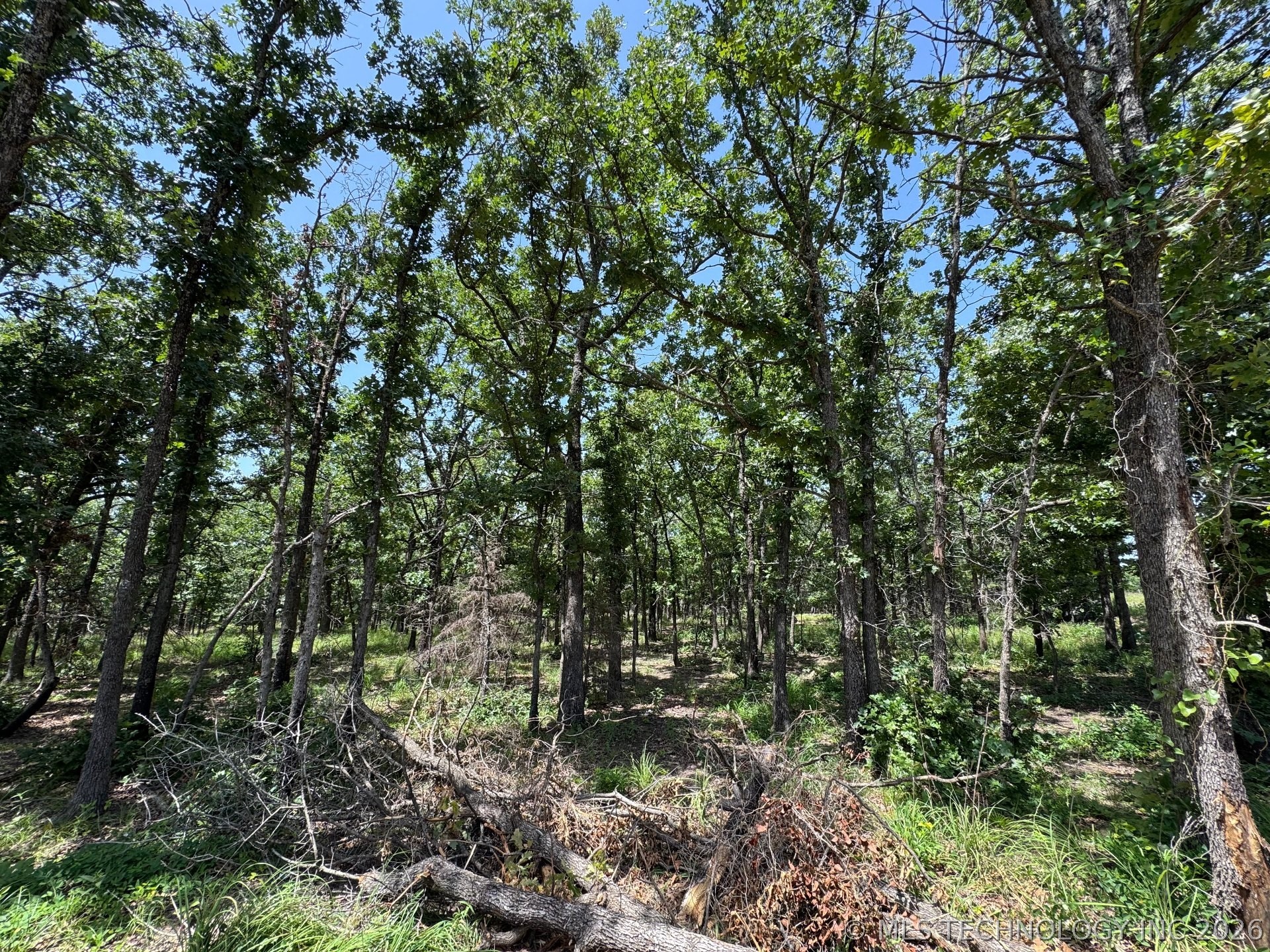Happy Hills Property Photo 8