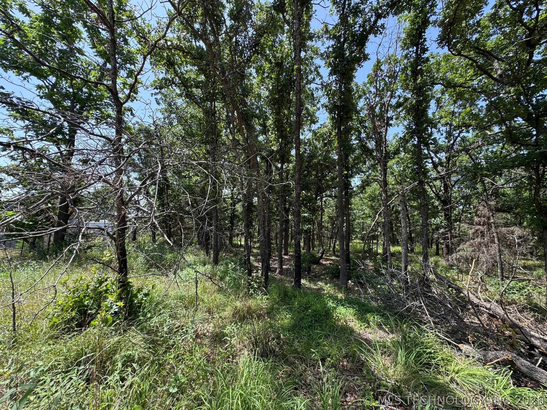 Happy Hills Property Photo 9