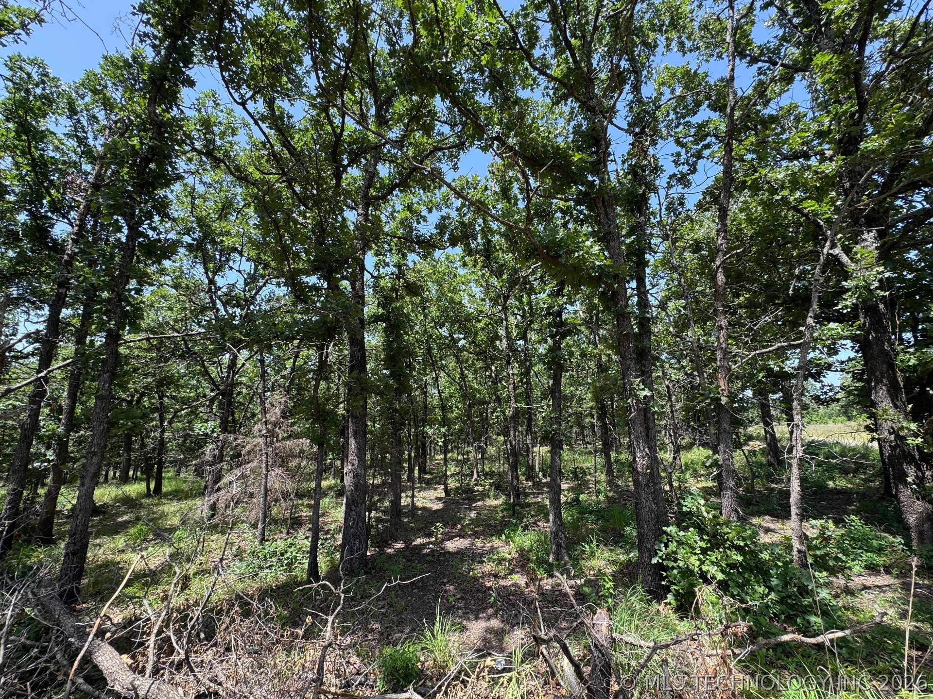 Happy Hills Property Photo 10