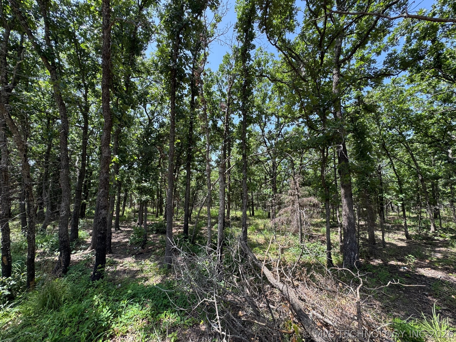 Happy Hills Property Photo 11