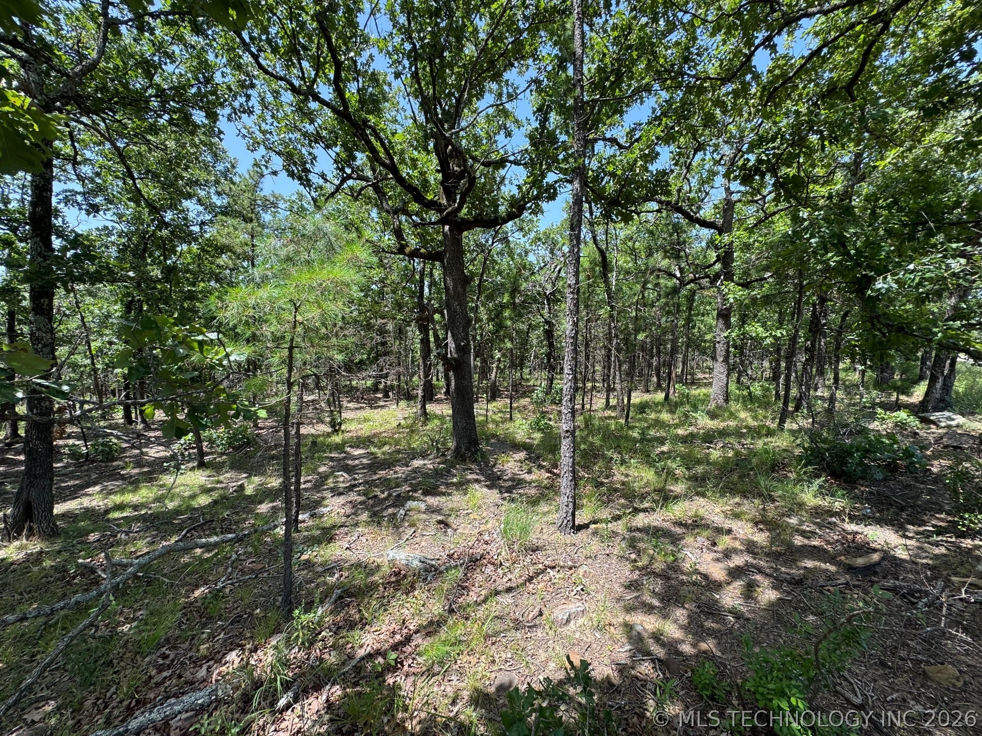 Happy Hills Property Photo 12