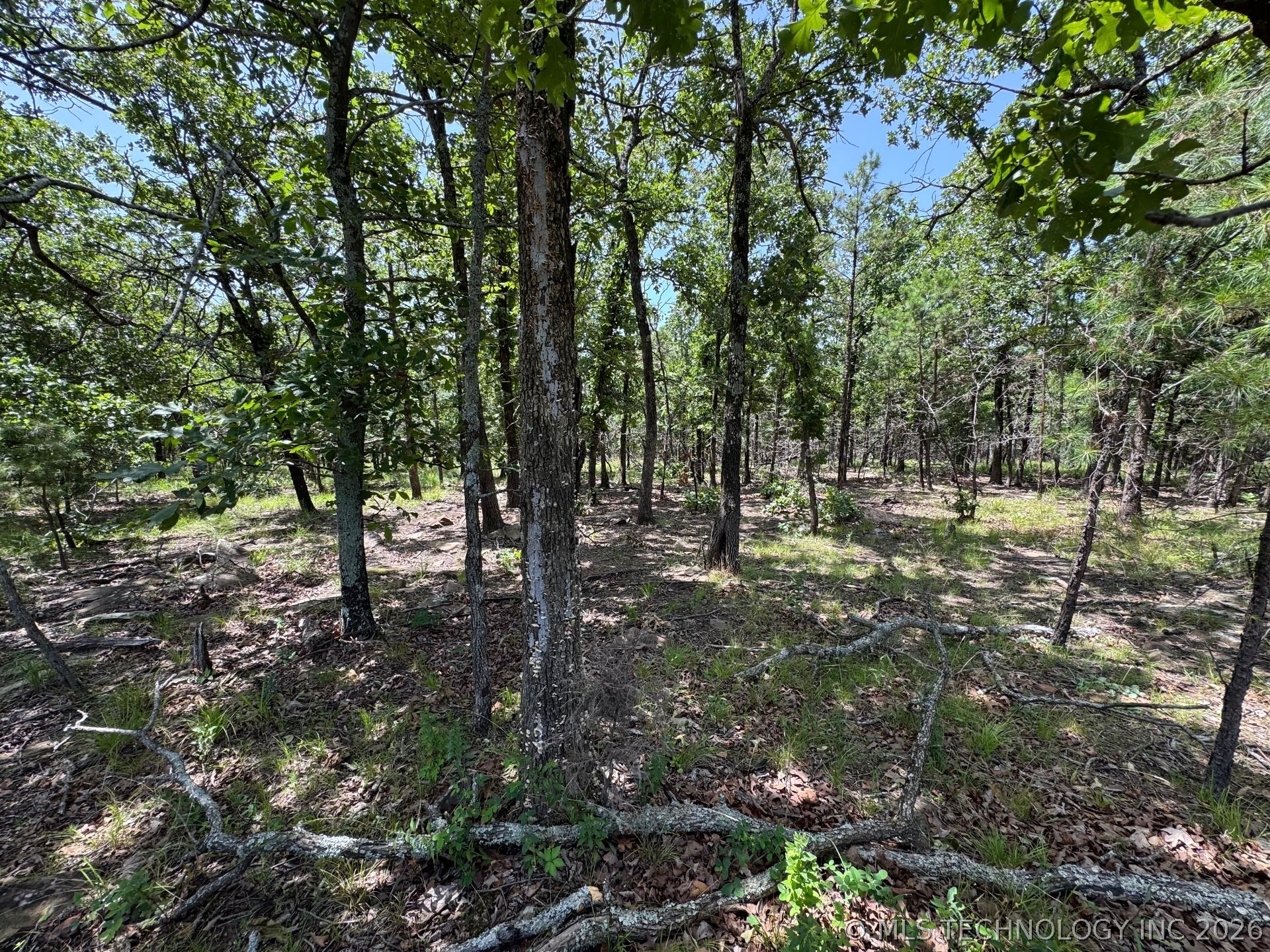 Happy Hills Property Photo 13