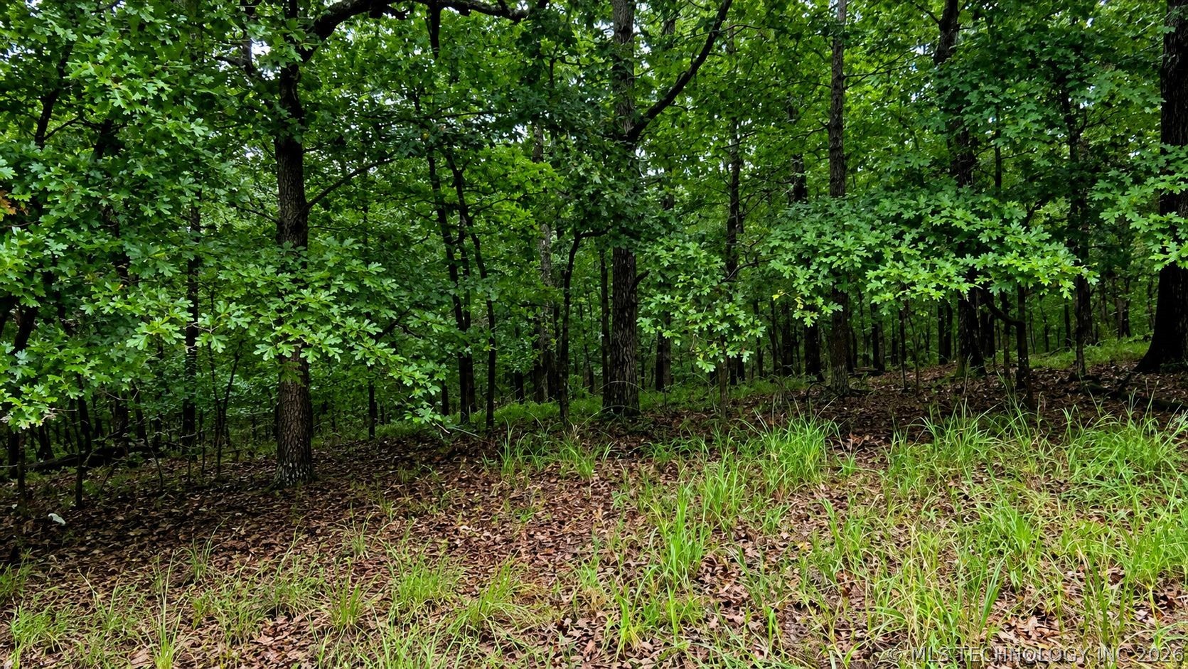 433 Deer Path Road Property Photo 4