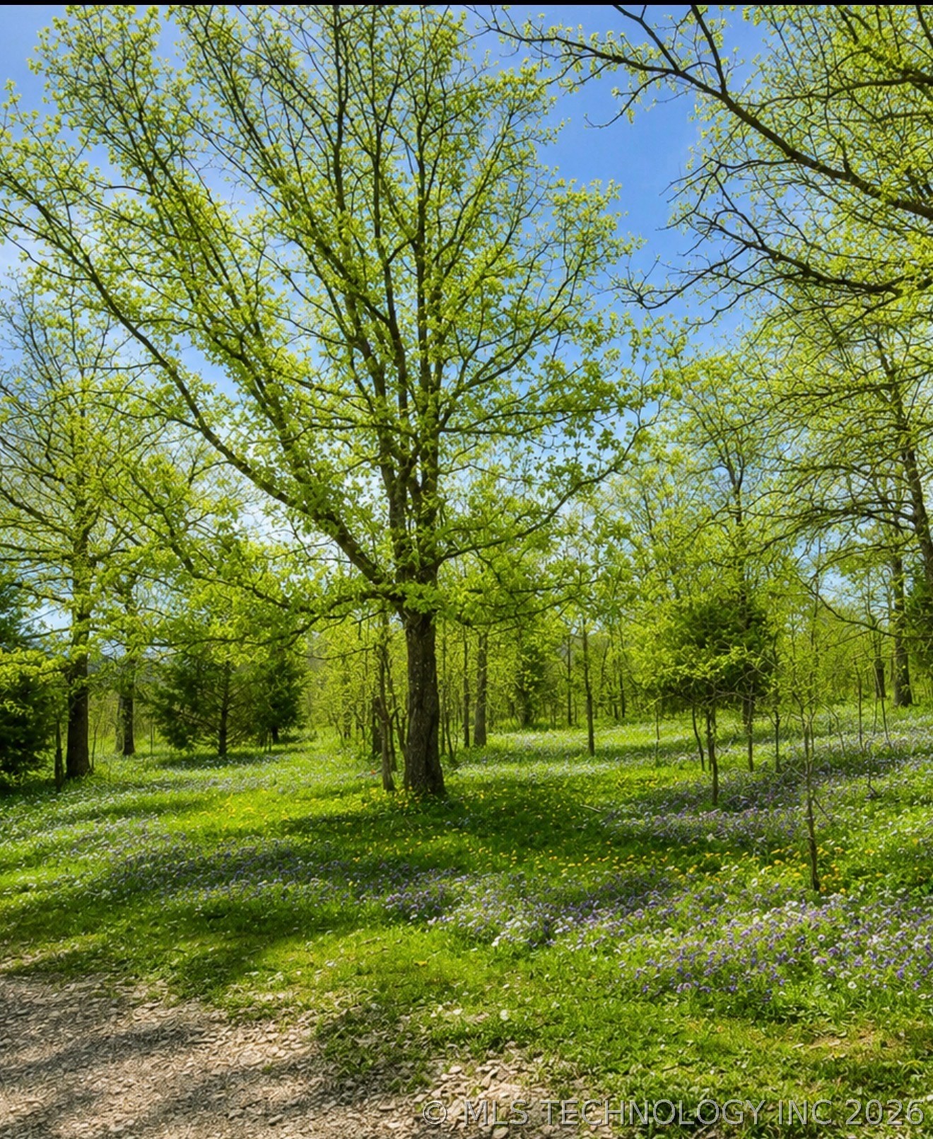 4547 Road Property Photo 10