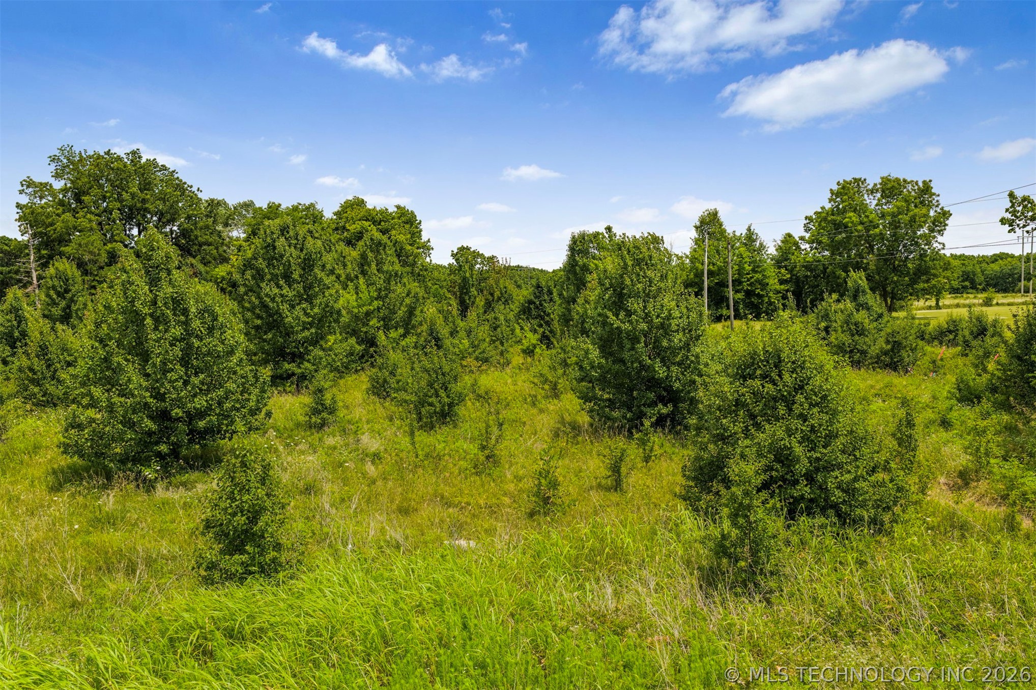 132 E State Hwy 51 Property Photo 27
