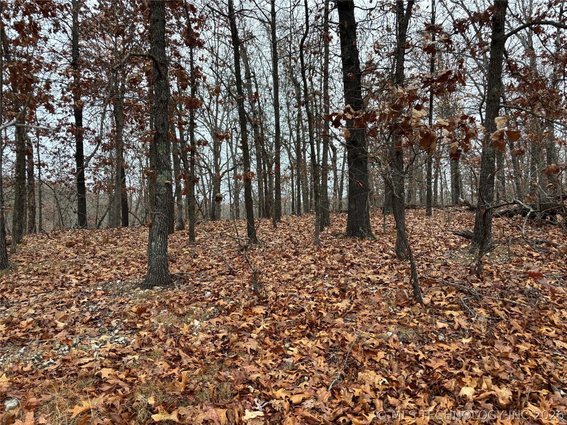 Acorn Ridge