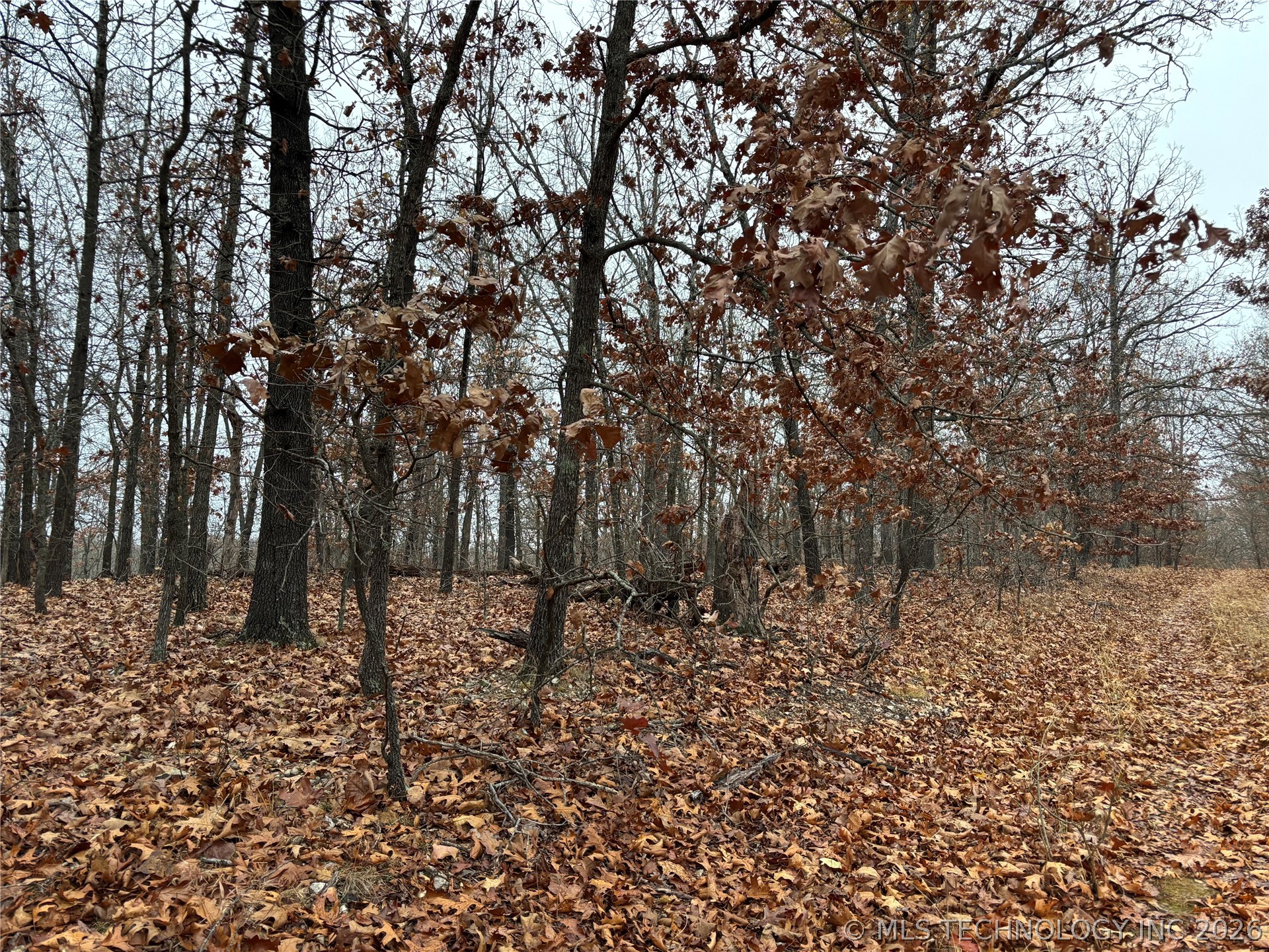 Acorn Ridge Property Photo 2