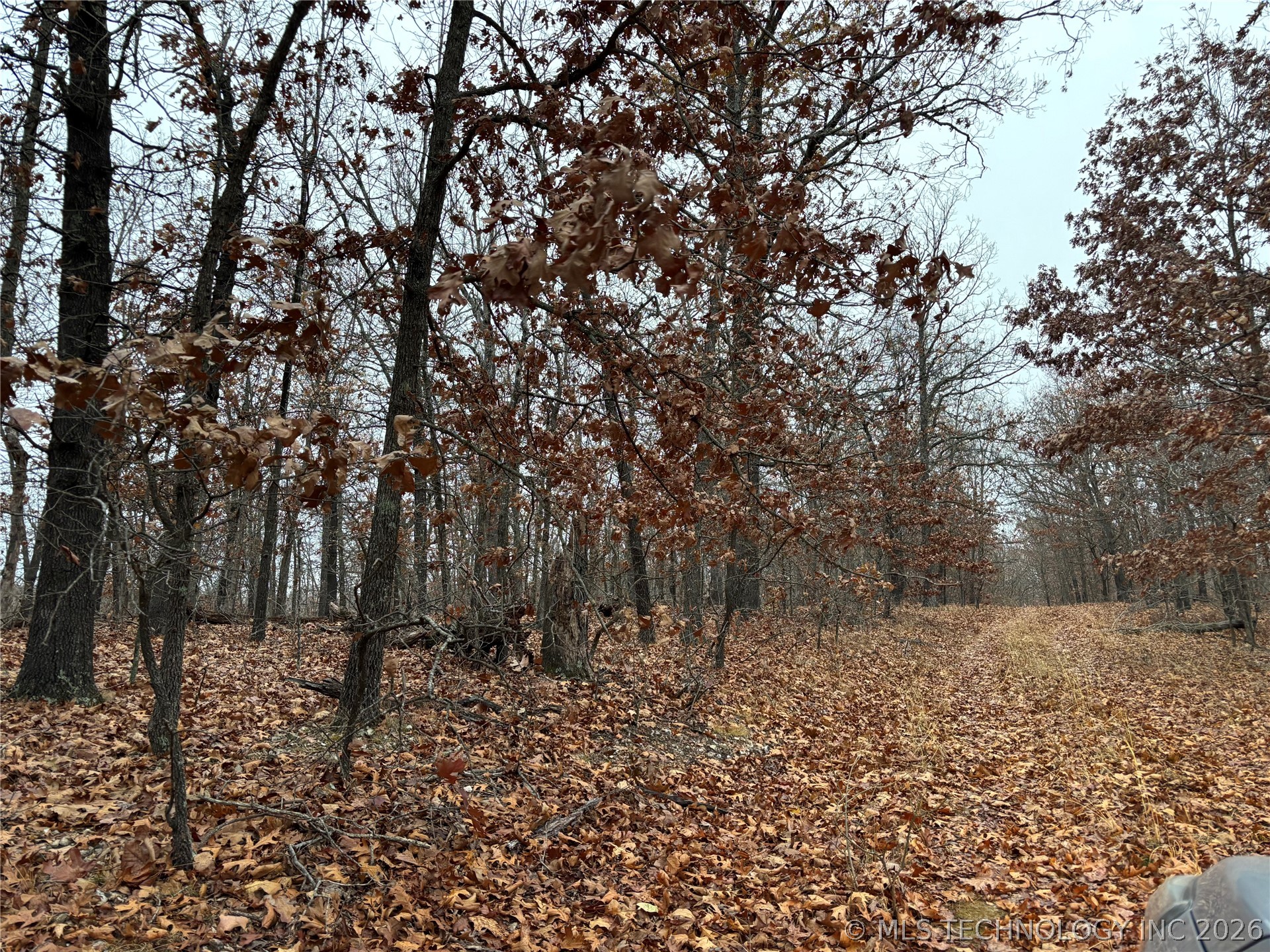 Acorn Ridge Property Photo 3