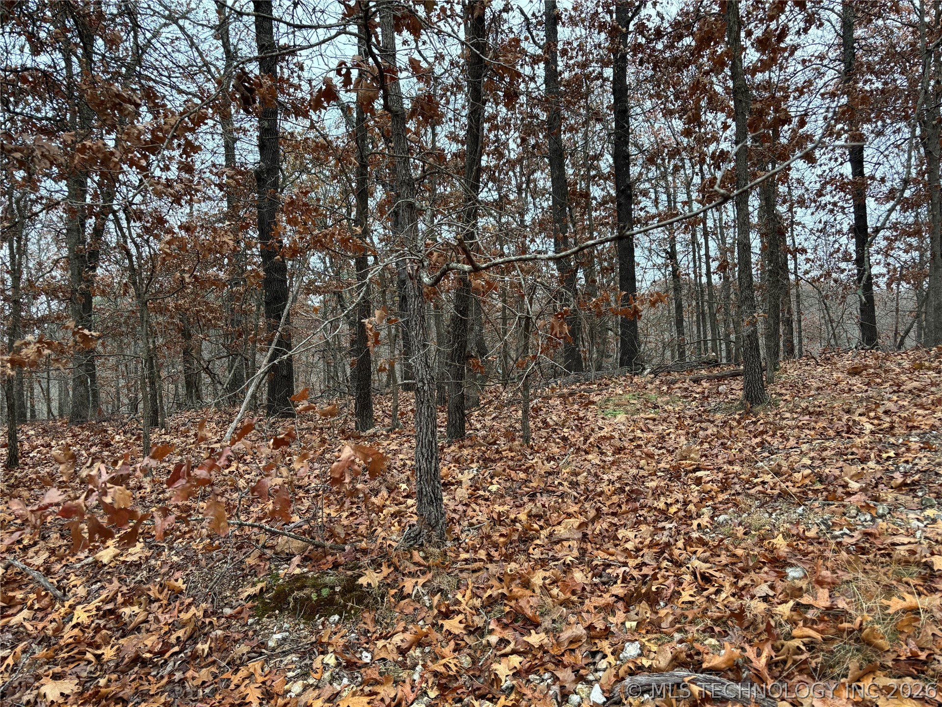 Acorn Ridge Property Photo 4