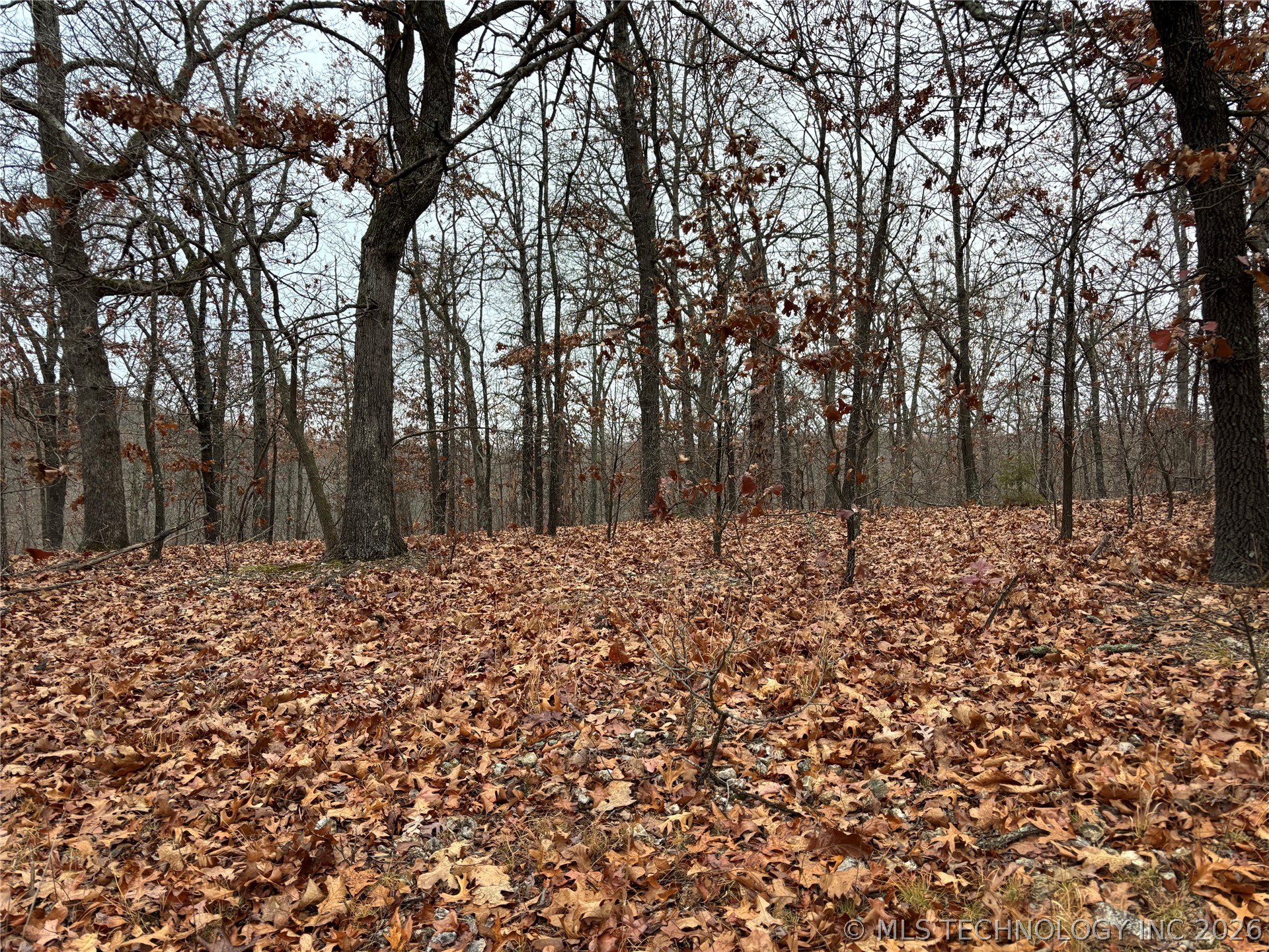 Acorn Ridge Property Photo 5