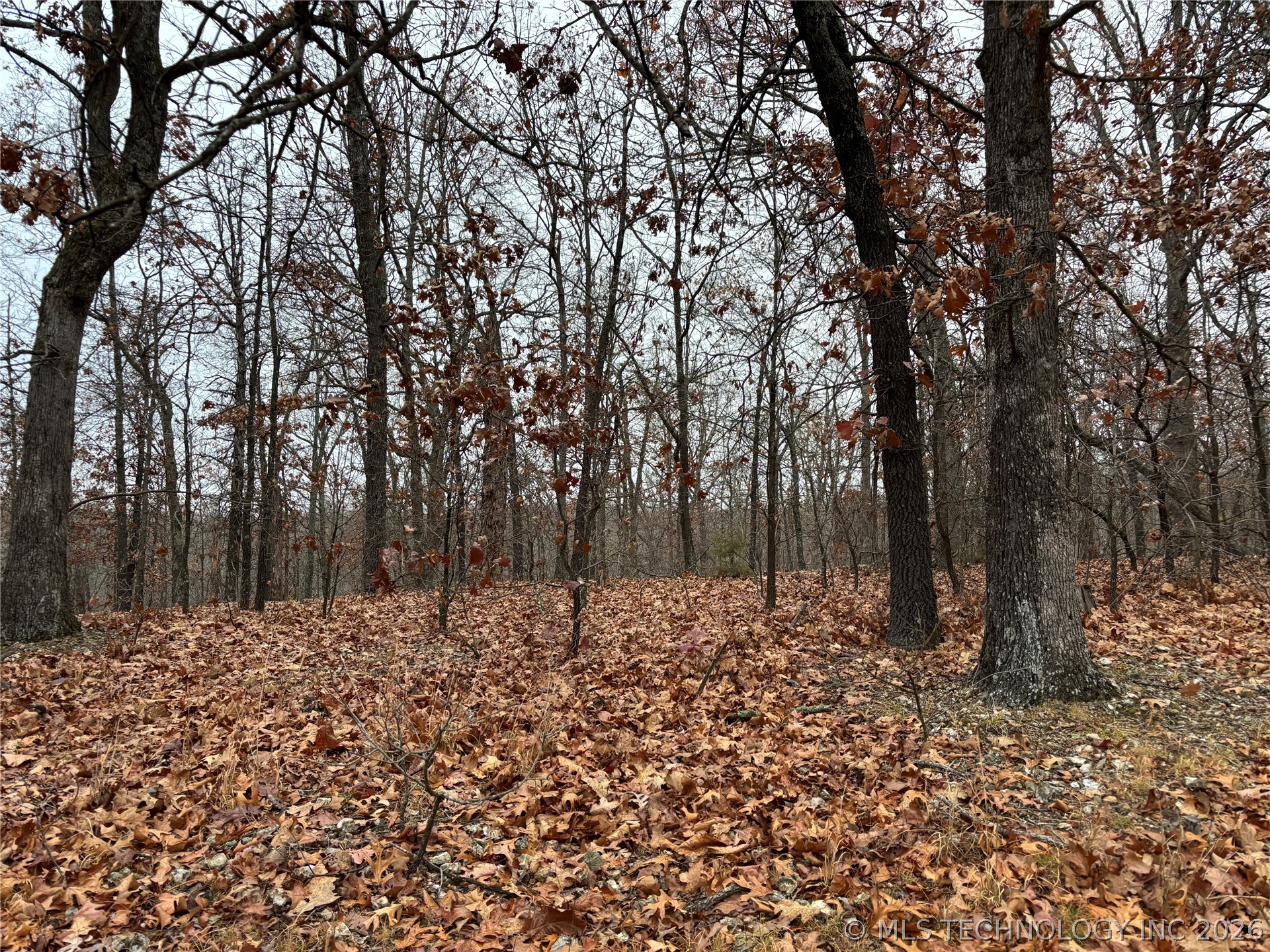 Acorn Ridge Property Photo 6