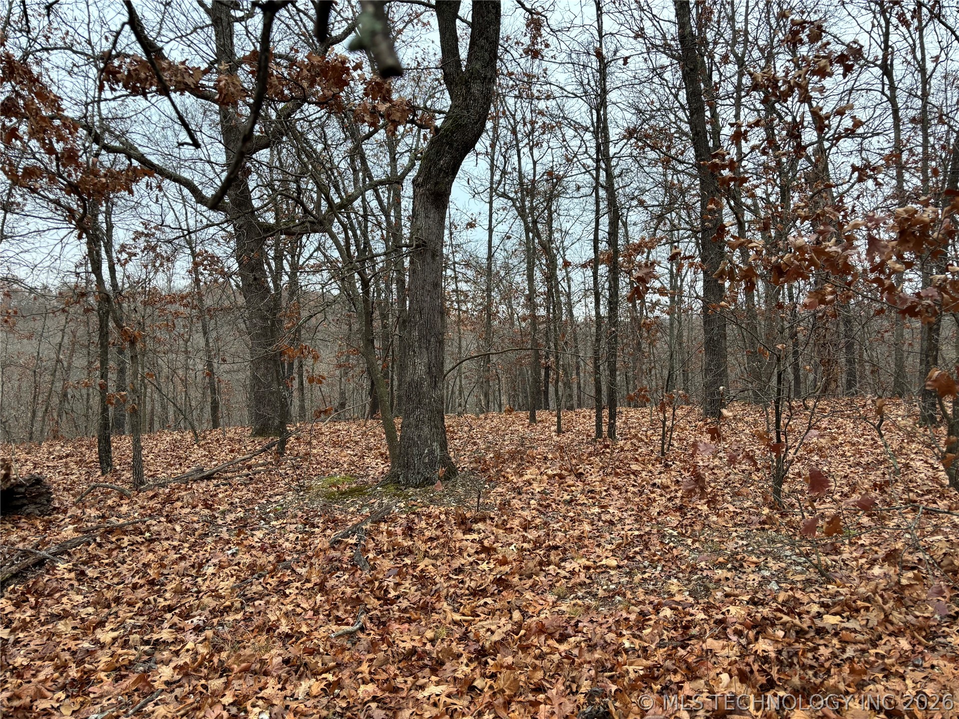 Acorn Ridge Property Photo 7