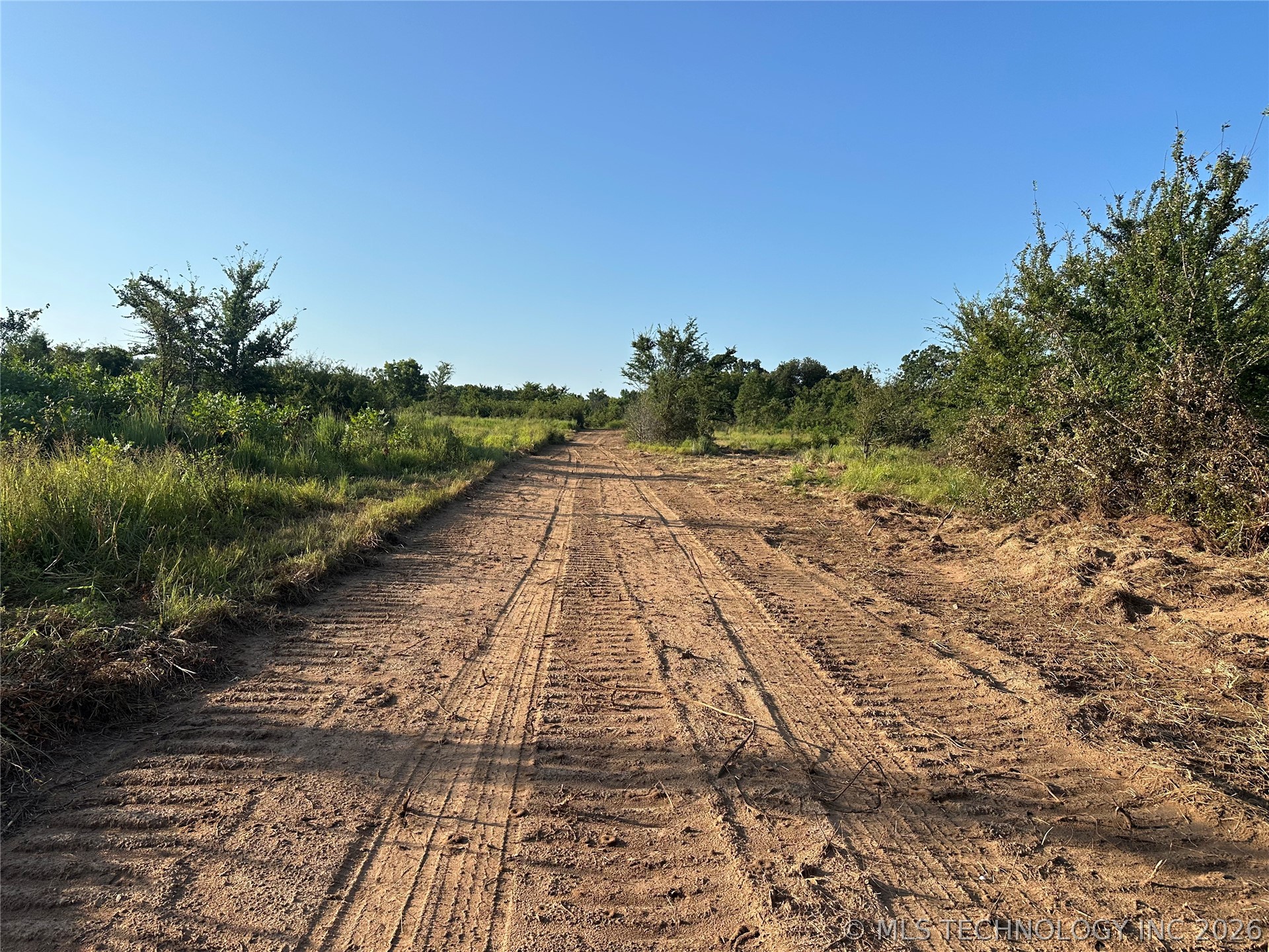 Bristlecone Road Property Photo 3