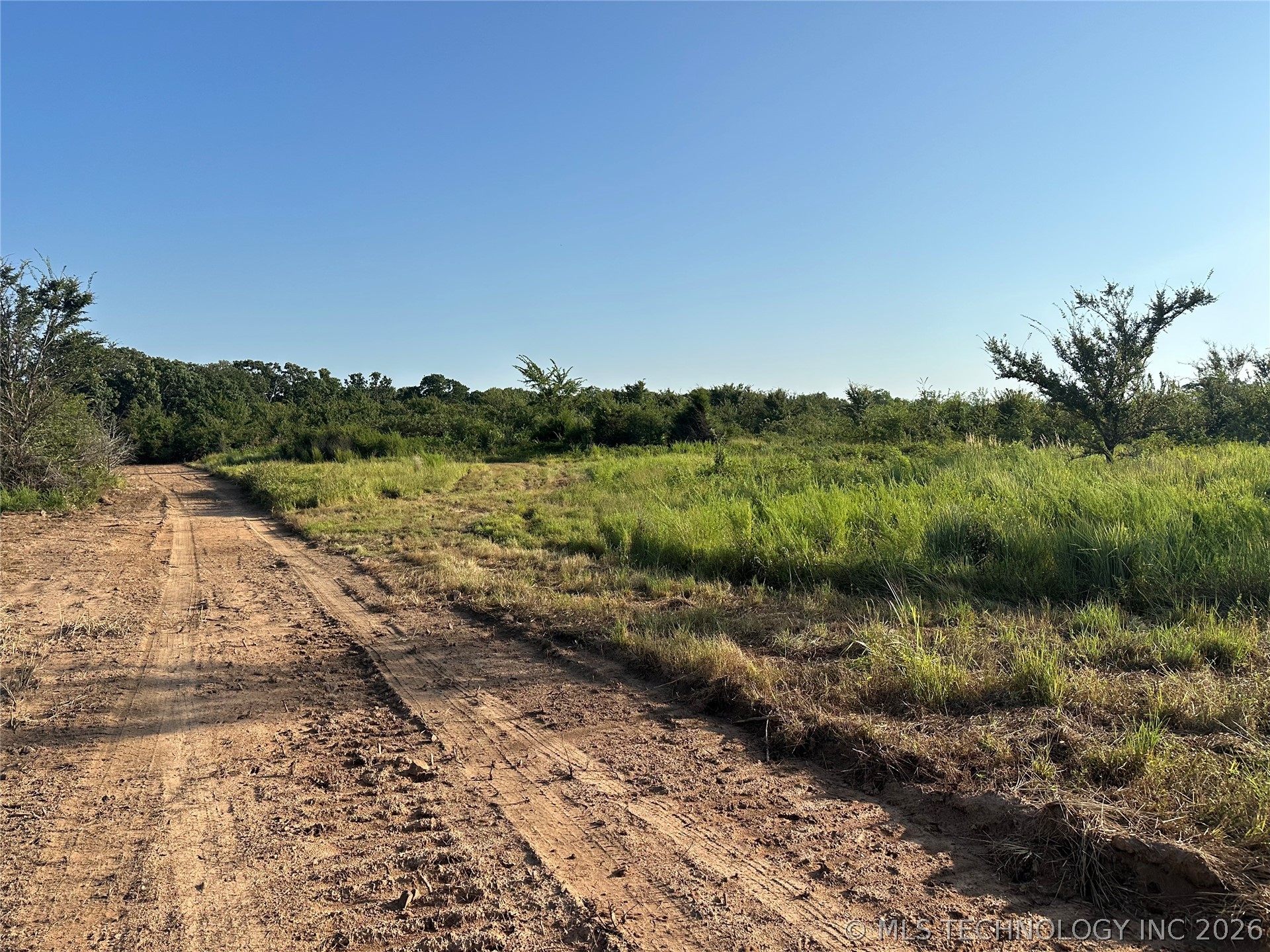 Bristlecone Road Property Photo 4