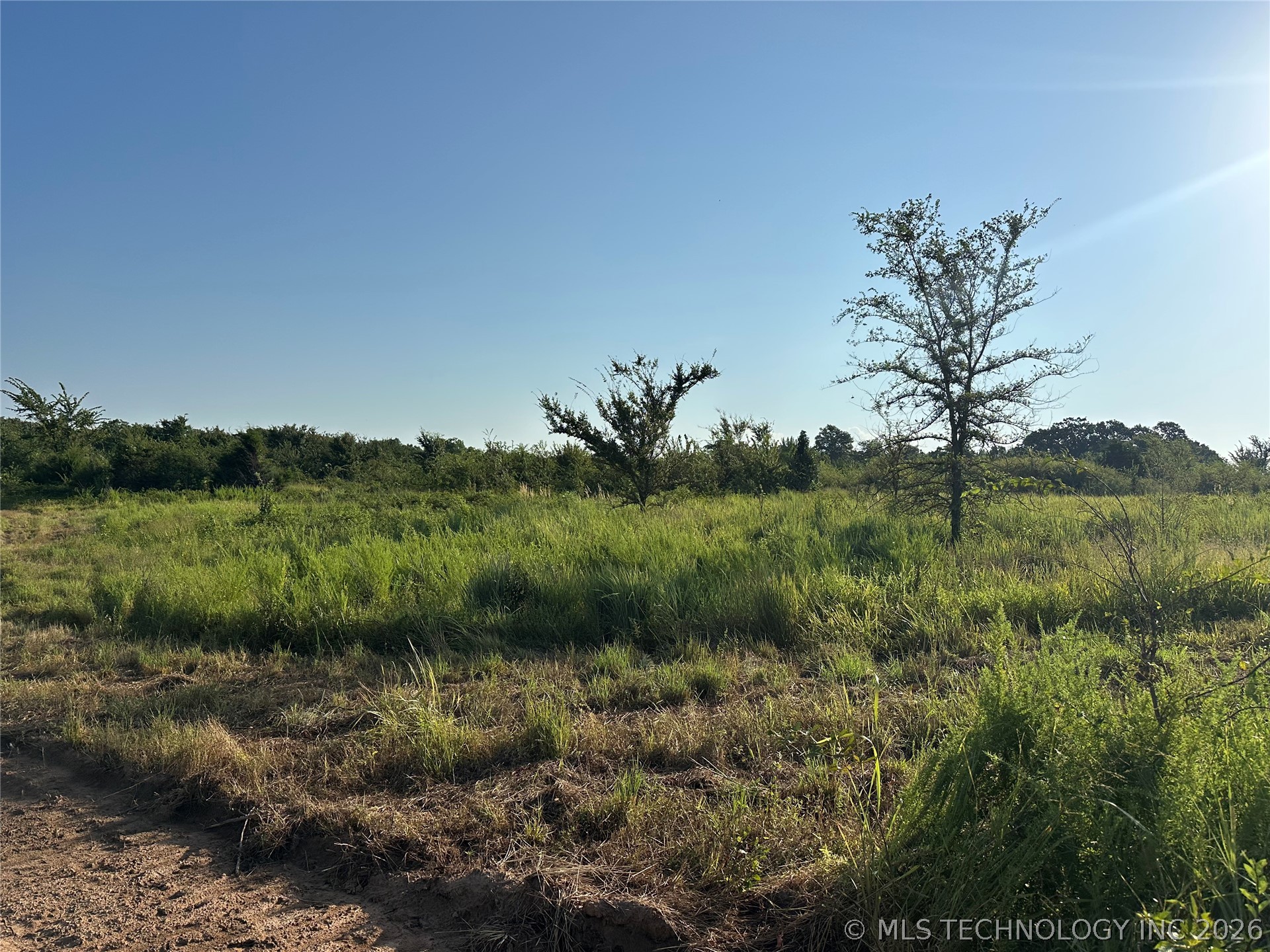 Bristlecone Road Property Photo 5