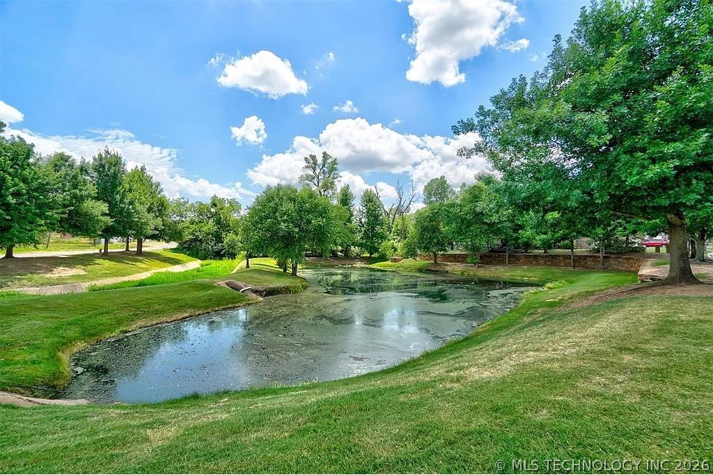 10915 Blue Sky Drive Property Photo 3