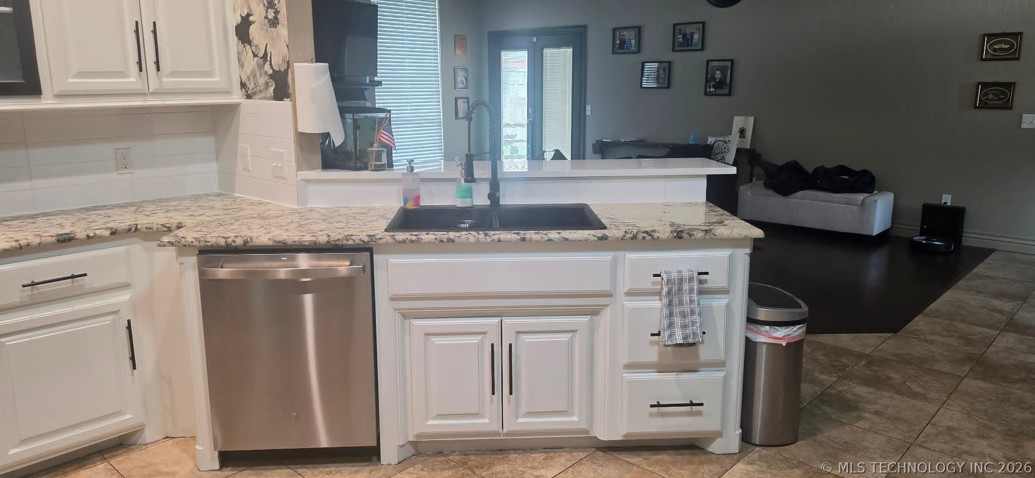10915 Blue Sky Drive Property Photo 8