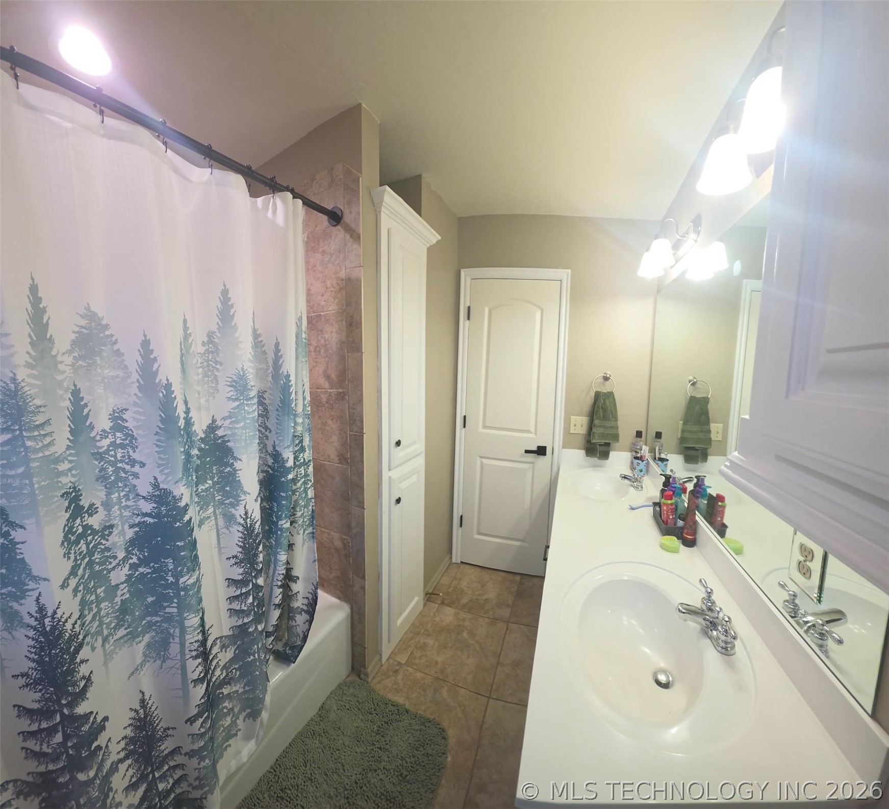 10915 Blue Sky Drive Property Photo 18