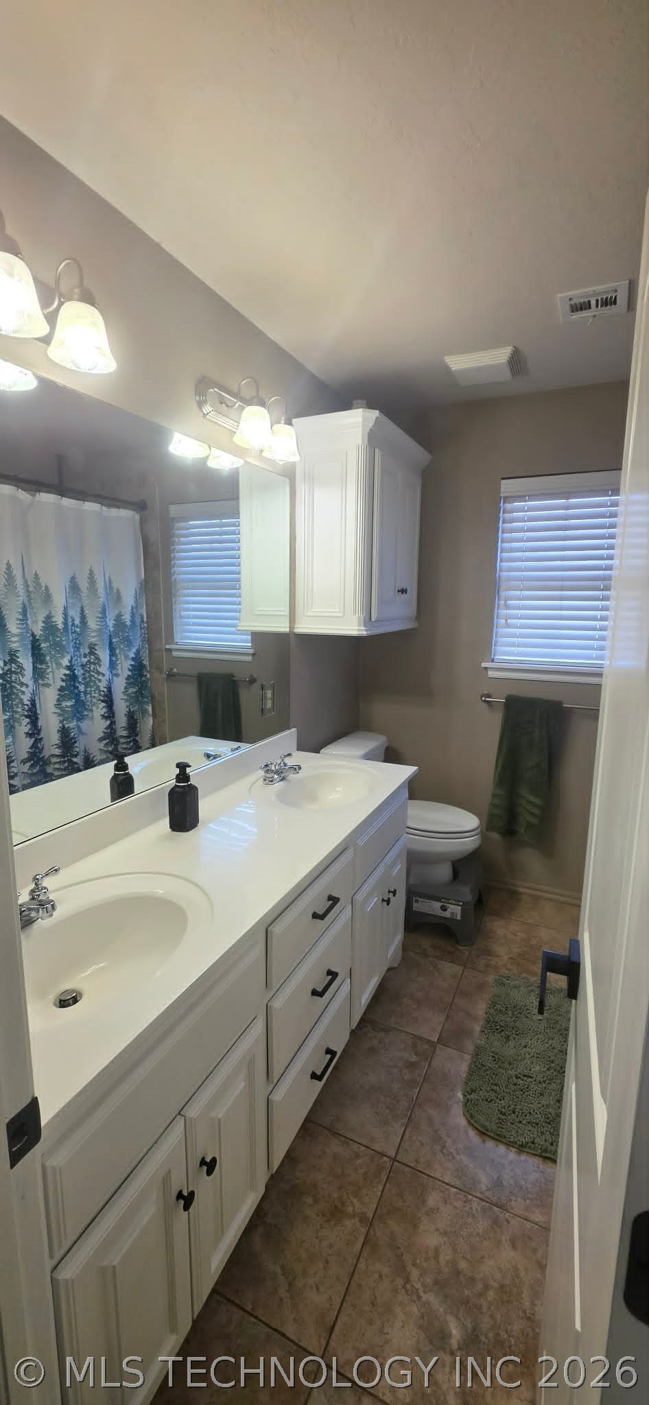 10915 Blue Sky Drive Property Photo 19