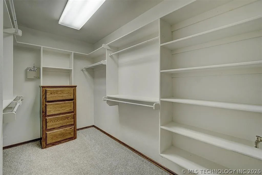 10915 Blue Sky Drive Property Photo 33