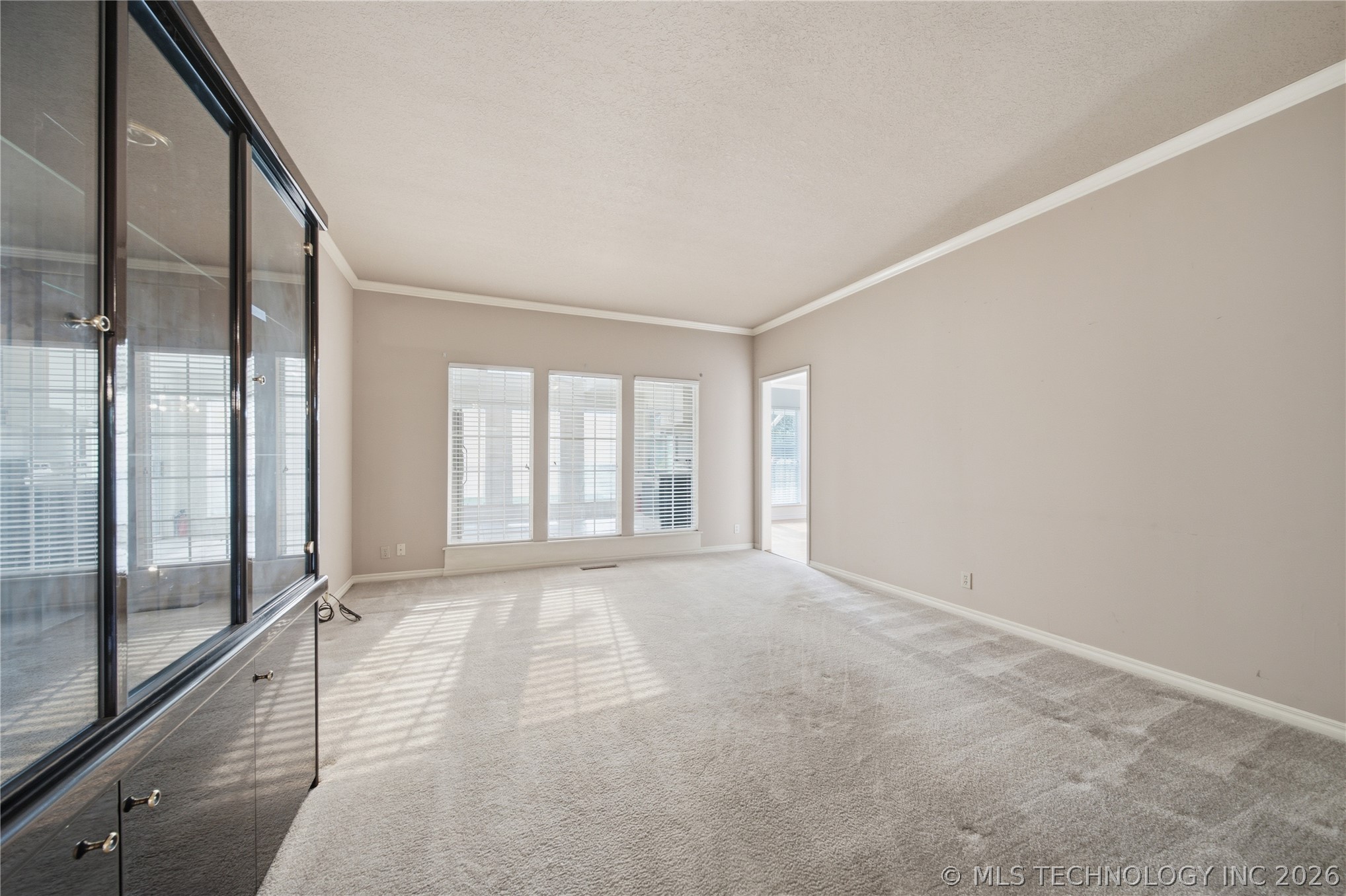 10238 S Hudson Place Property Photo 12