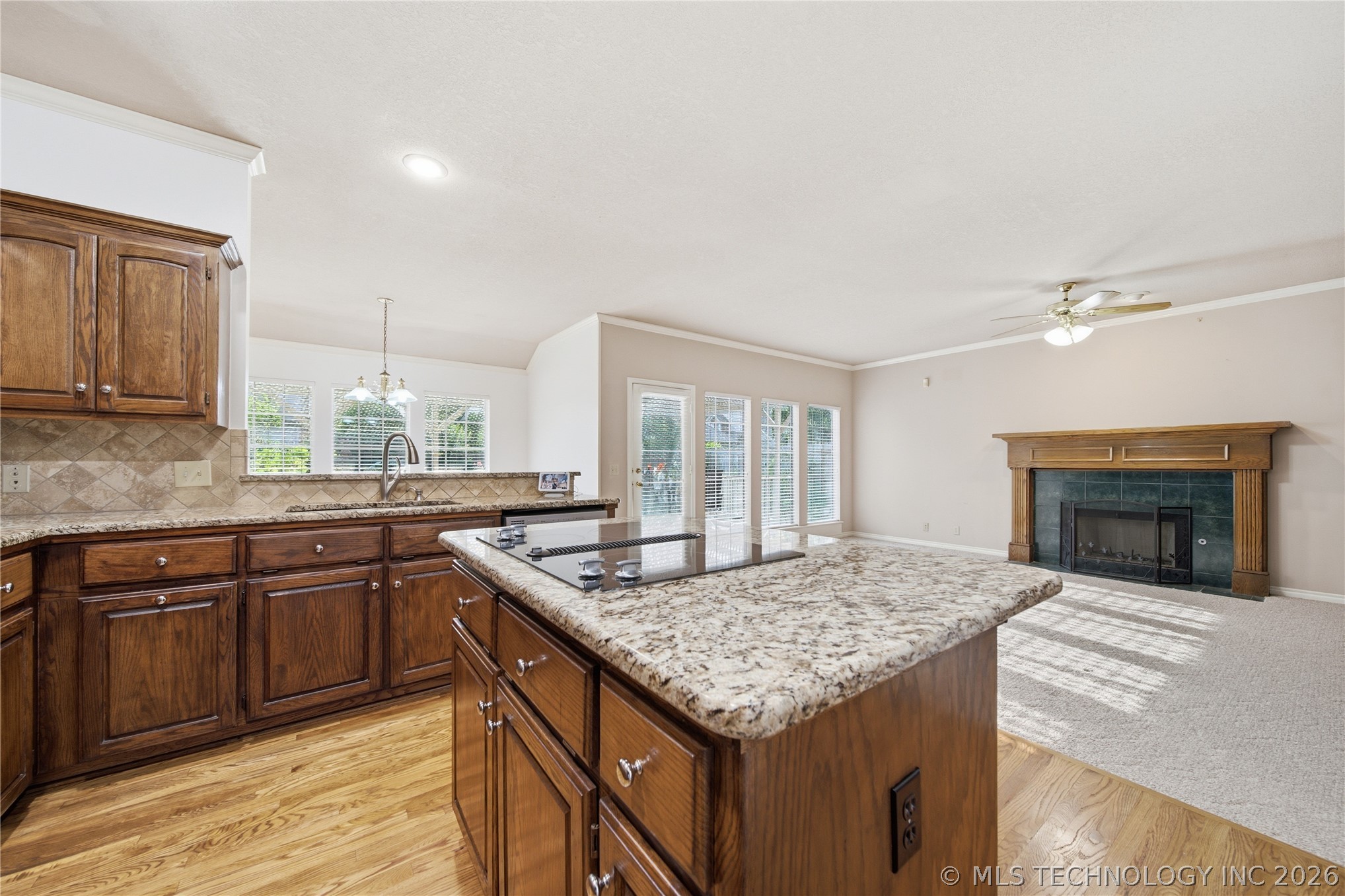 10238 S Hudson Place Property Photo 18