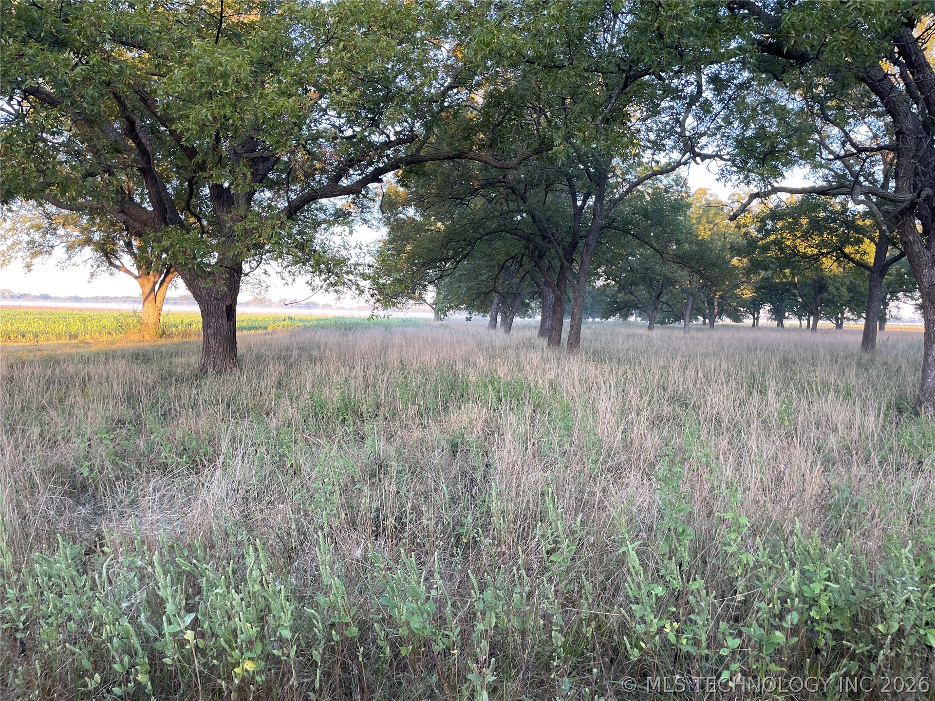 14716 Highway 77 Highway Property Photo 52