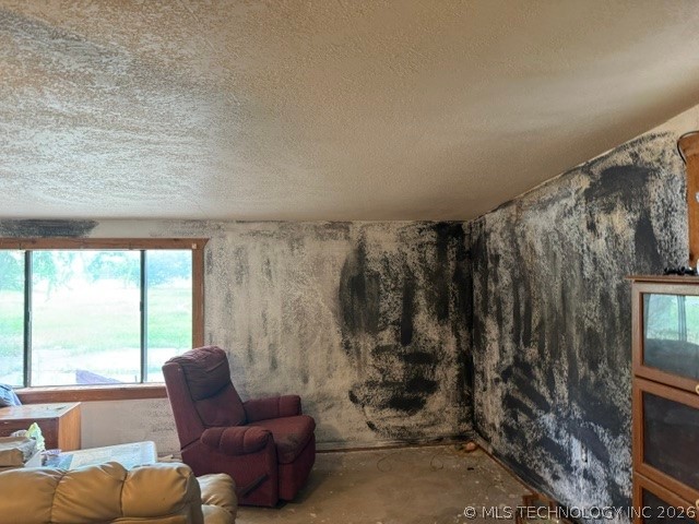 4757 Dundee Property Photo 7