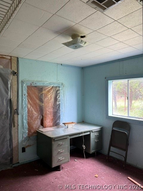 4757 Dundee Property Photo 12
